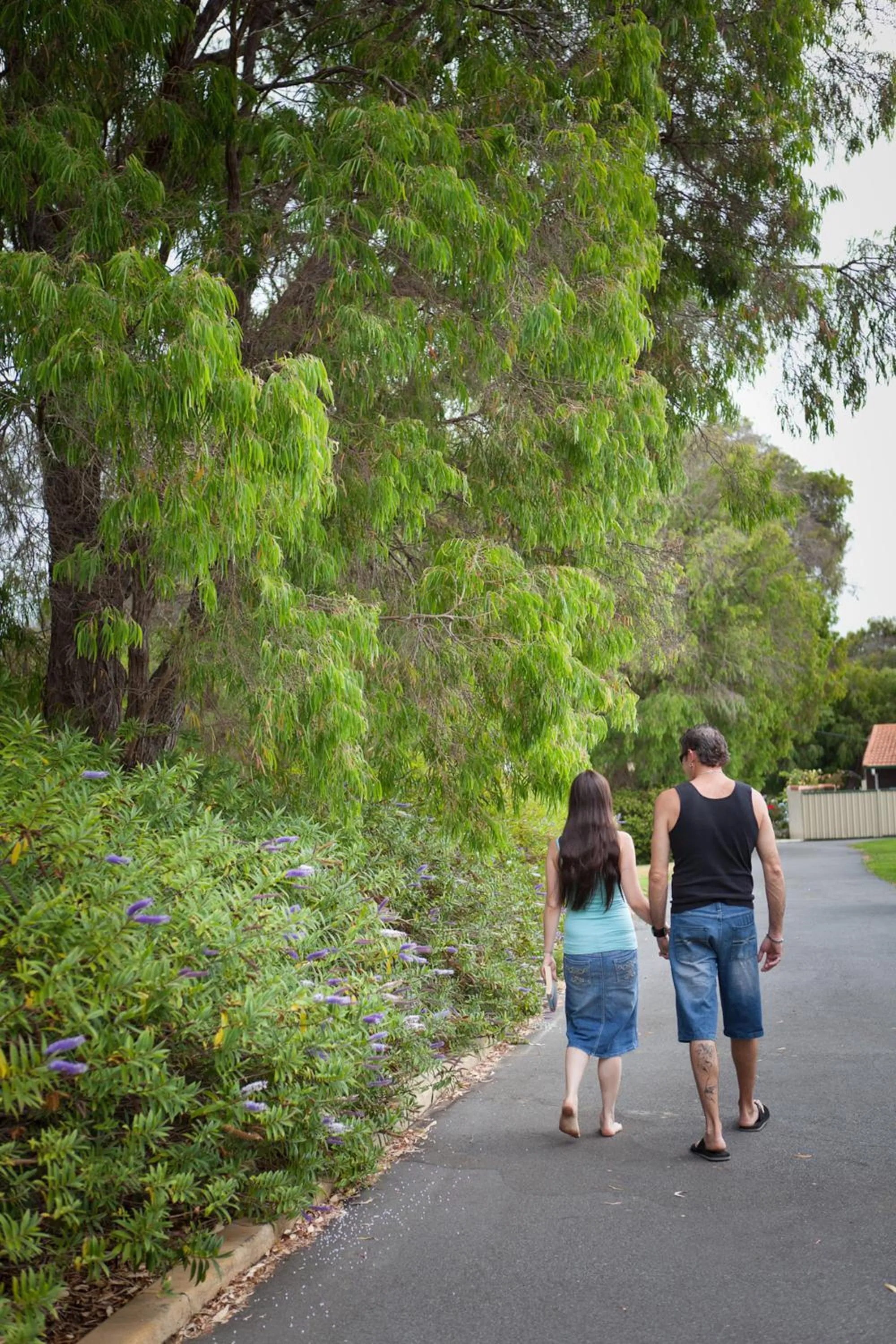 Garden in Havana Villas