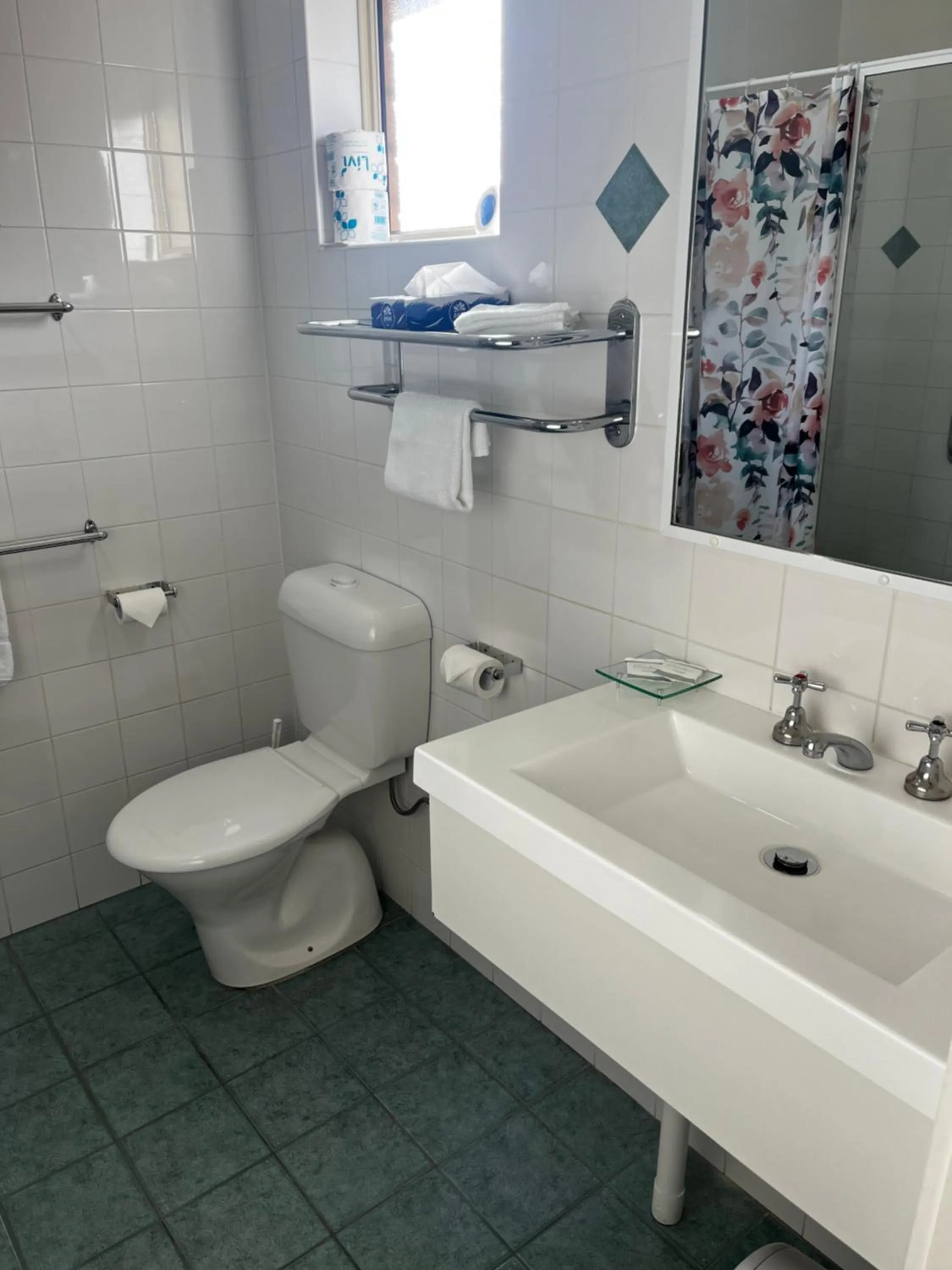 Bathroom in Emu Point Motel