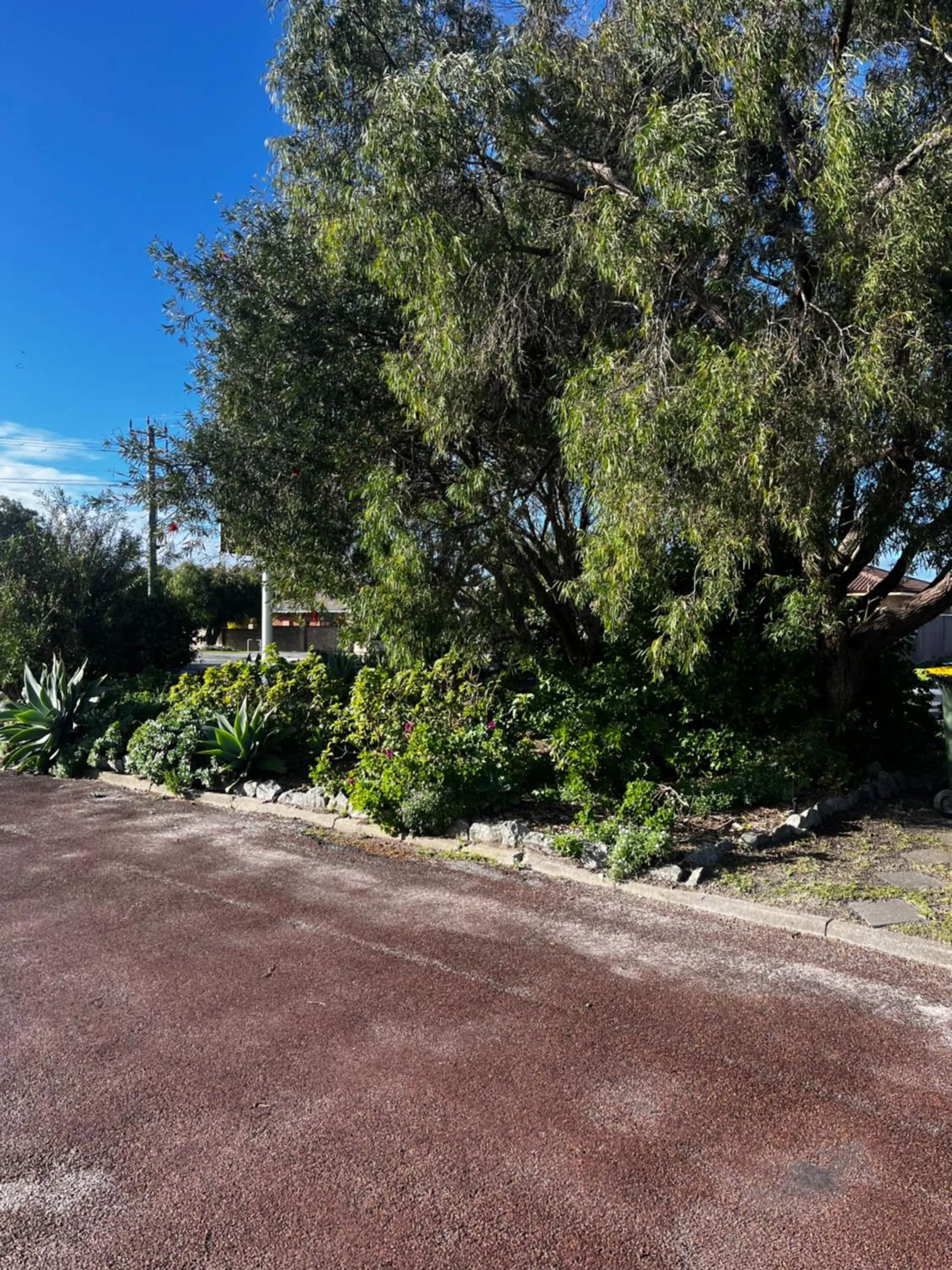 Garden in Emu Point Motel
