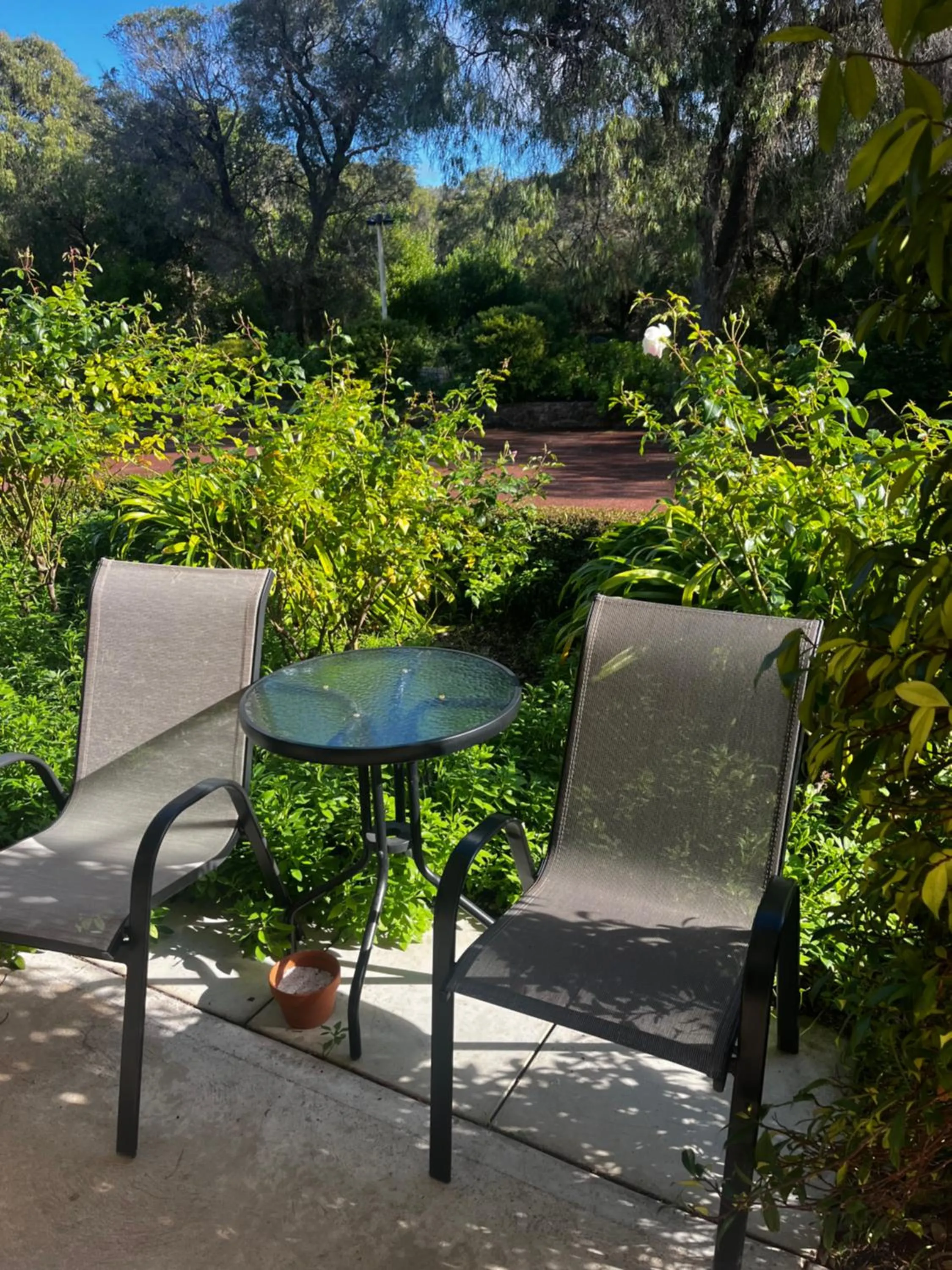 Garden in Emu Point Motel