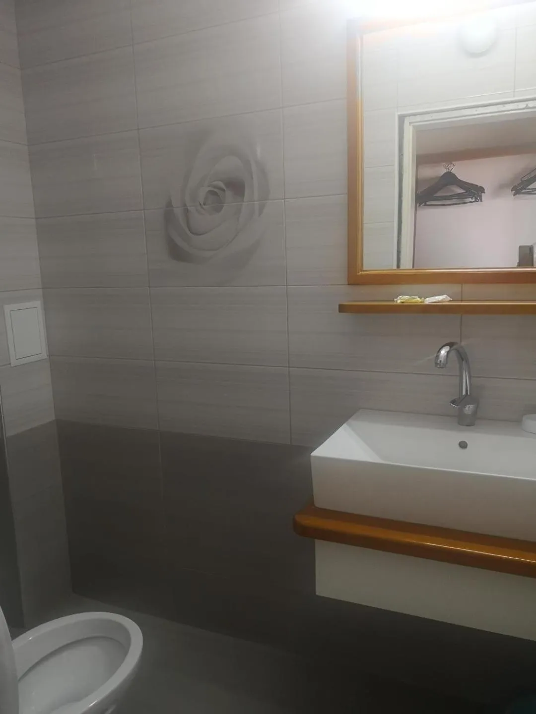 Toilet in Family Hotel Verona