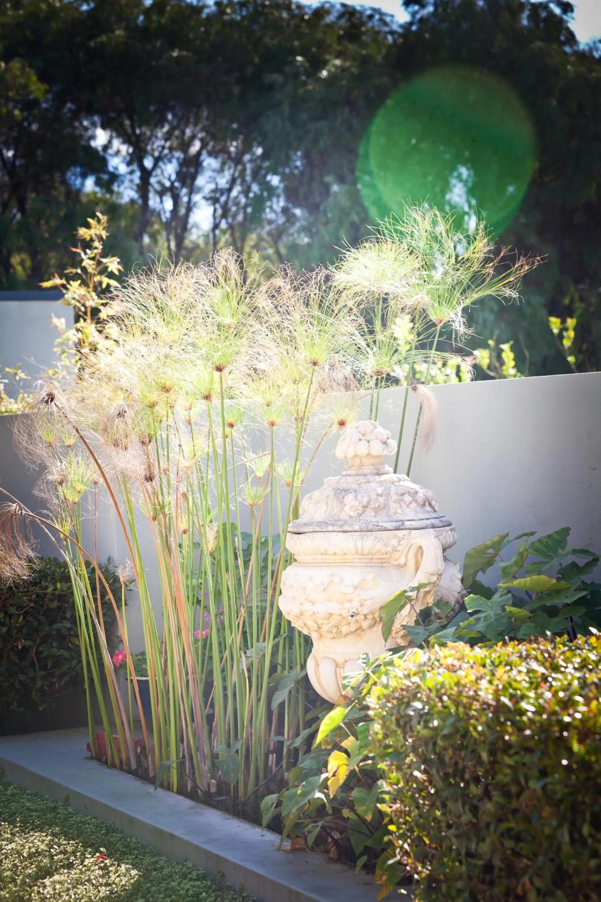 Garden in The Beach House At Bayside