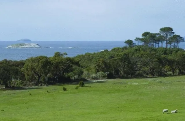 Day in Cosy Corner Sea View Apartments