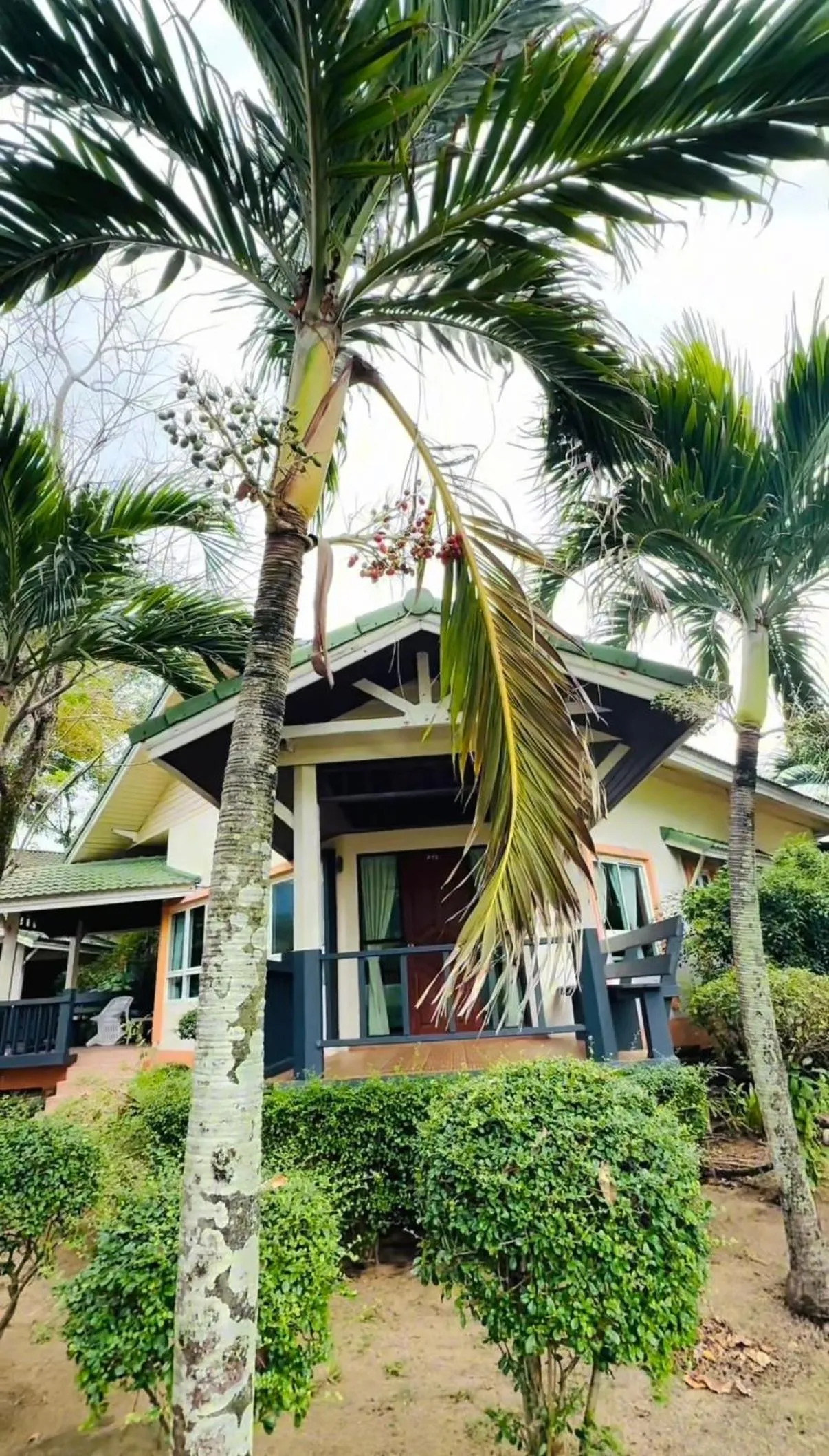 Lanta Palm Beach Resort , Beach Bungalow - Koh Lanta