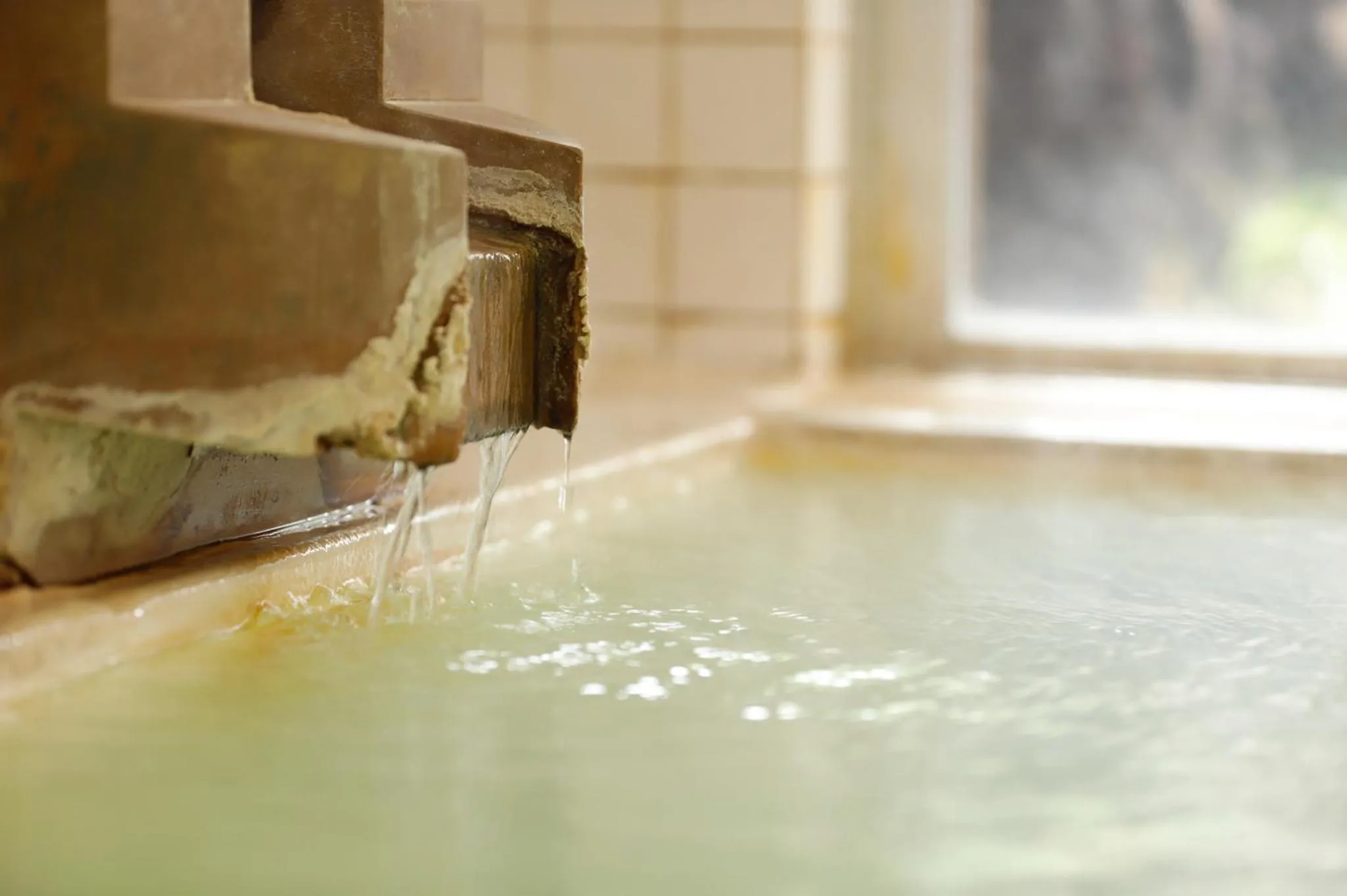 Ryokan Kiritani Hakoneso