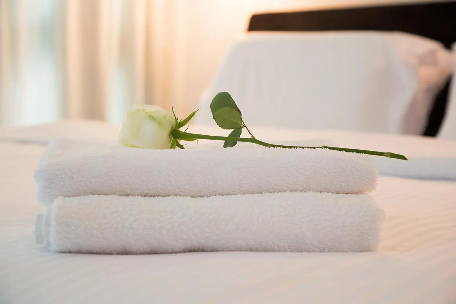 Bed in Suite Caesar - Neot Golf