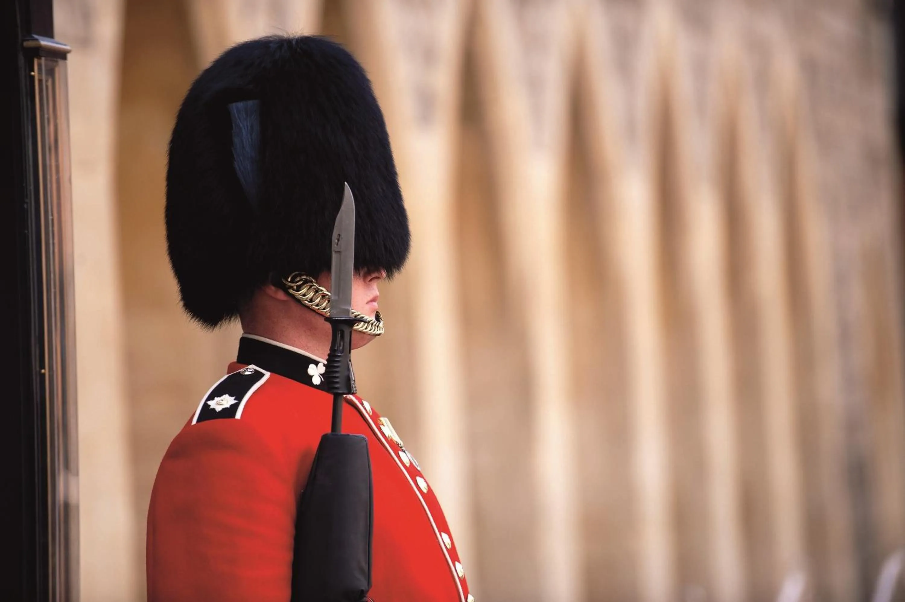 Area and facilities in Macdonald Windsor