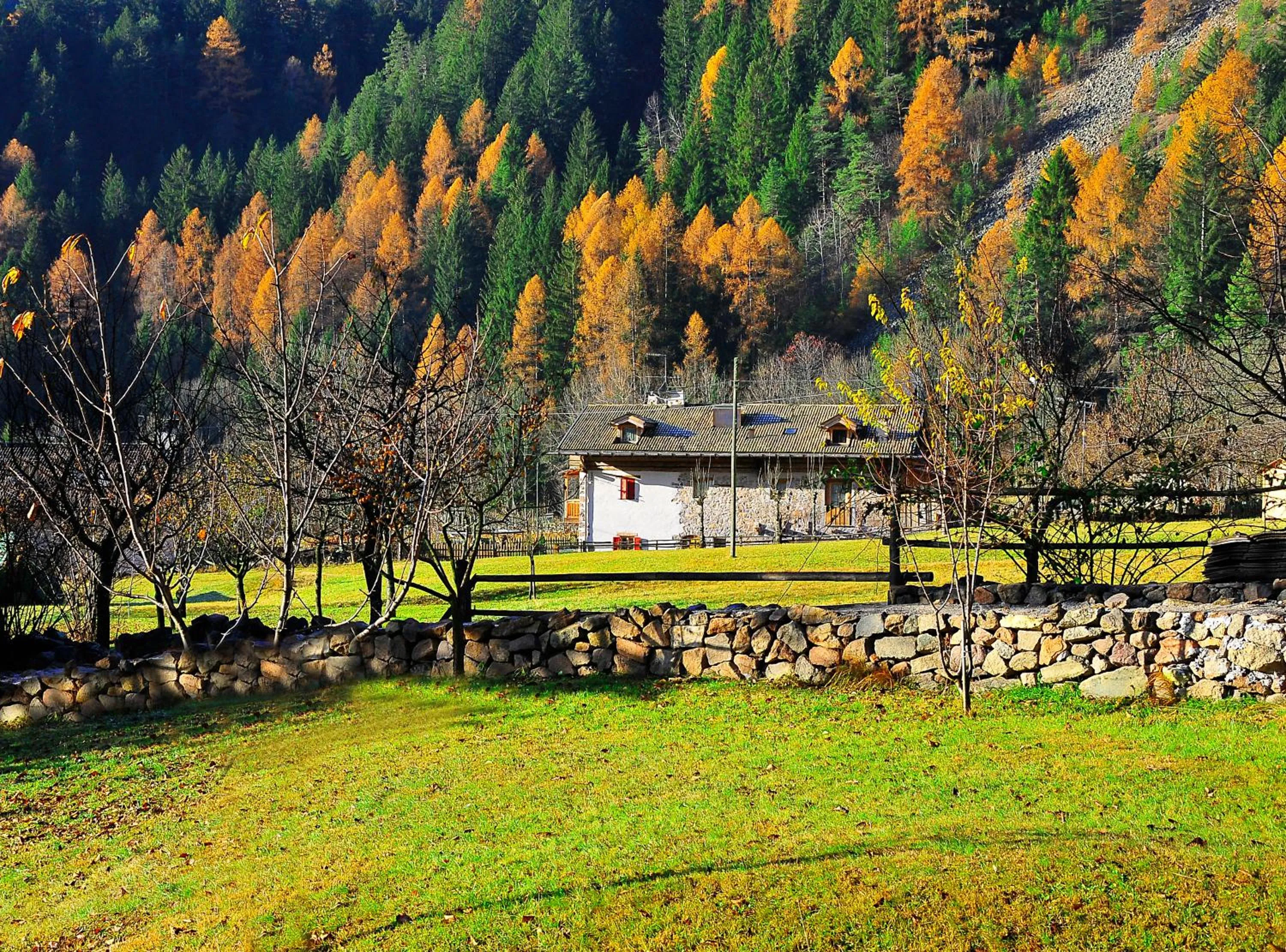 Property building in Maso Franceschella