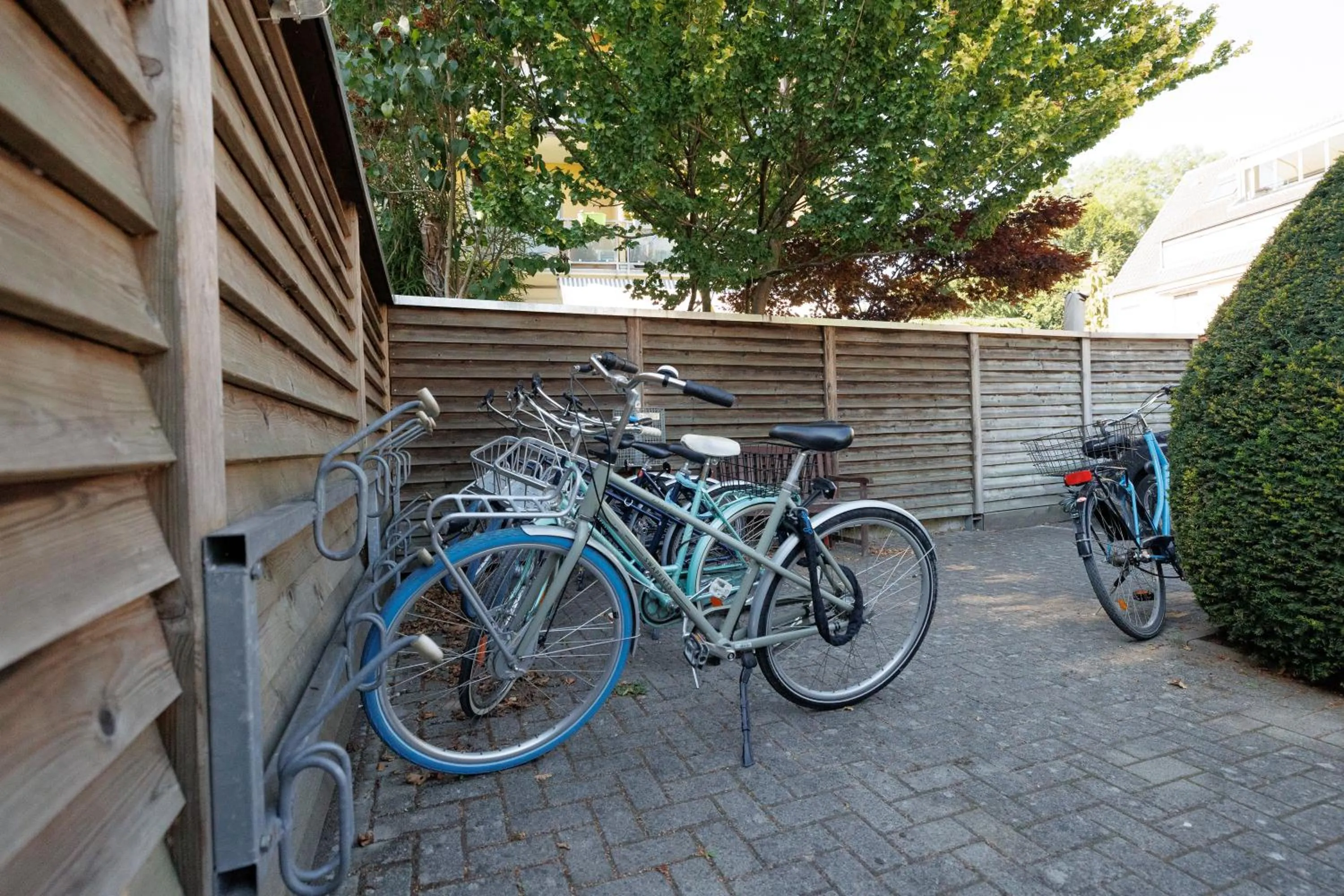 Cycling in Hotel Jellentrup - Adults Only
