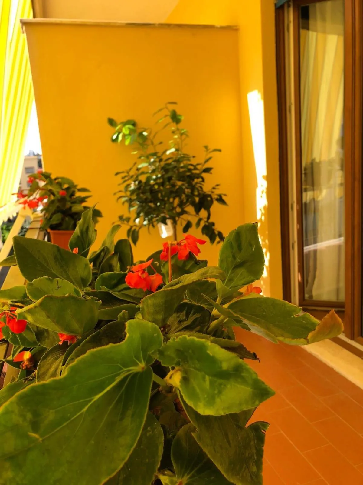 Balcony/Terrace in B&B La Rada