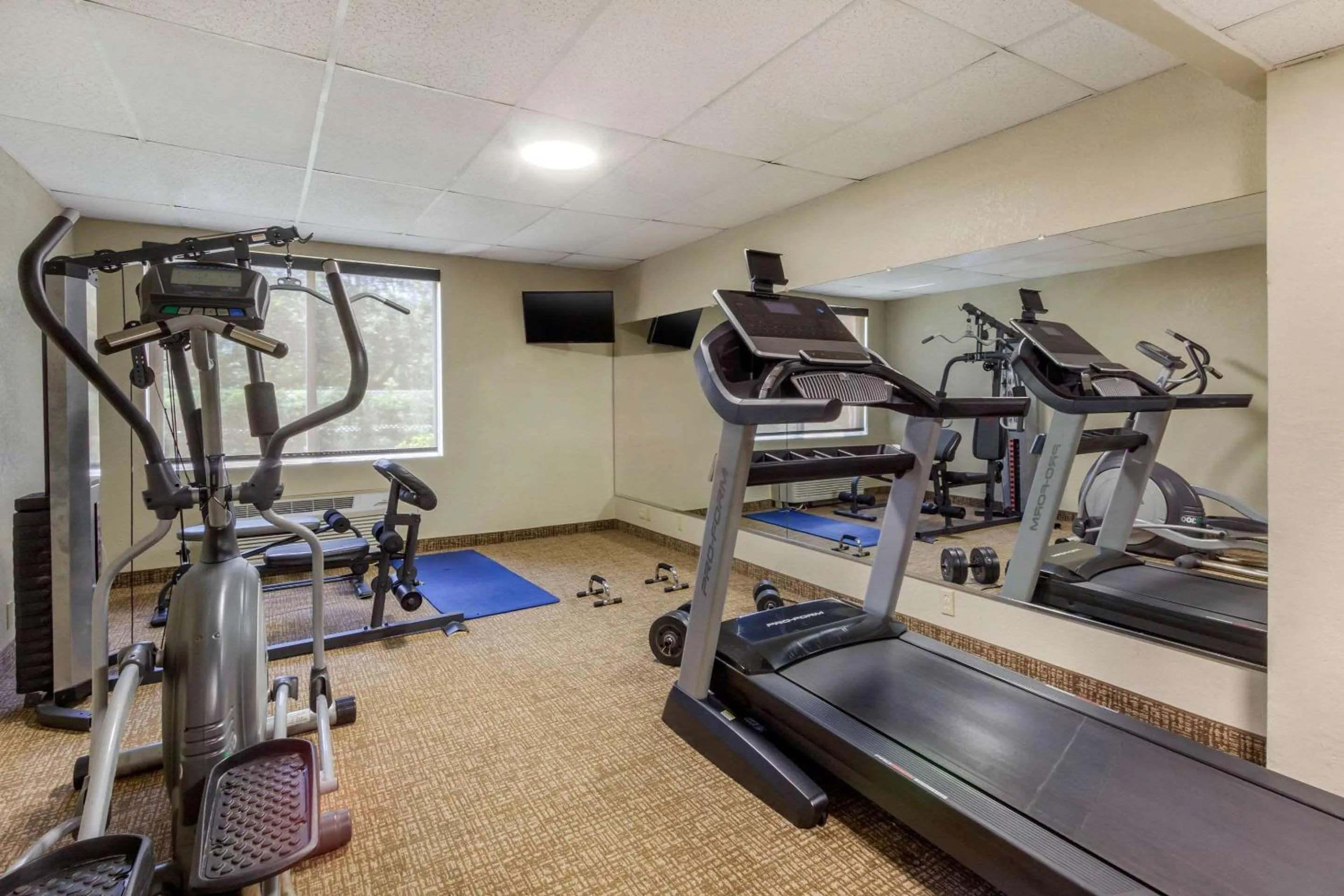 Fitness centre/facilities in Comfort Inn St Petersburg North