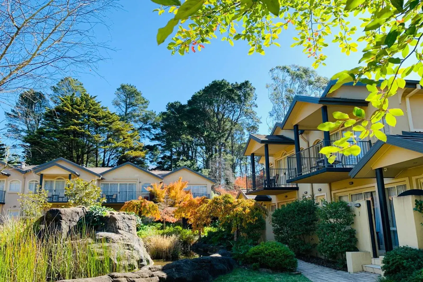 Studio Apartment in Falls Mountain Retreat Blue Mountains Studio Apartment in Falls Mountain Retreat Blue Mountains