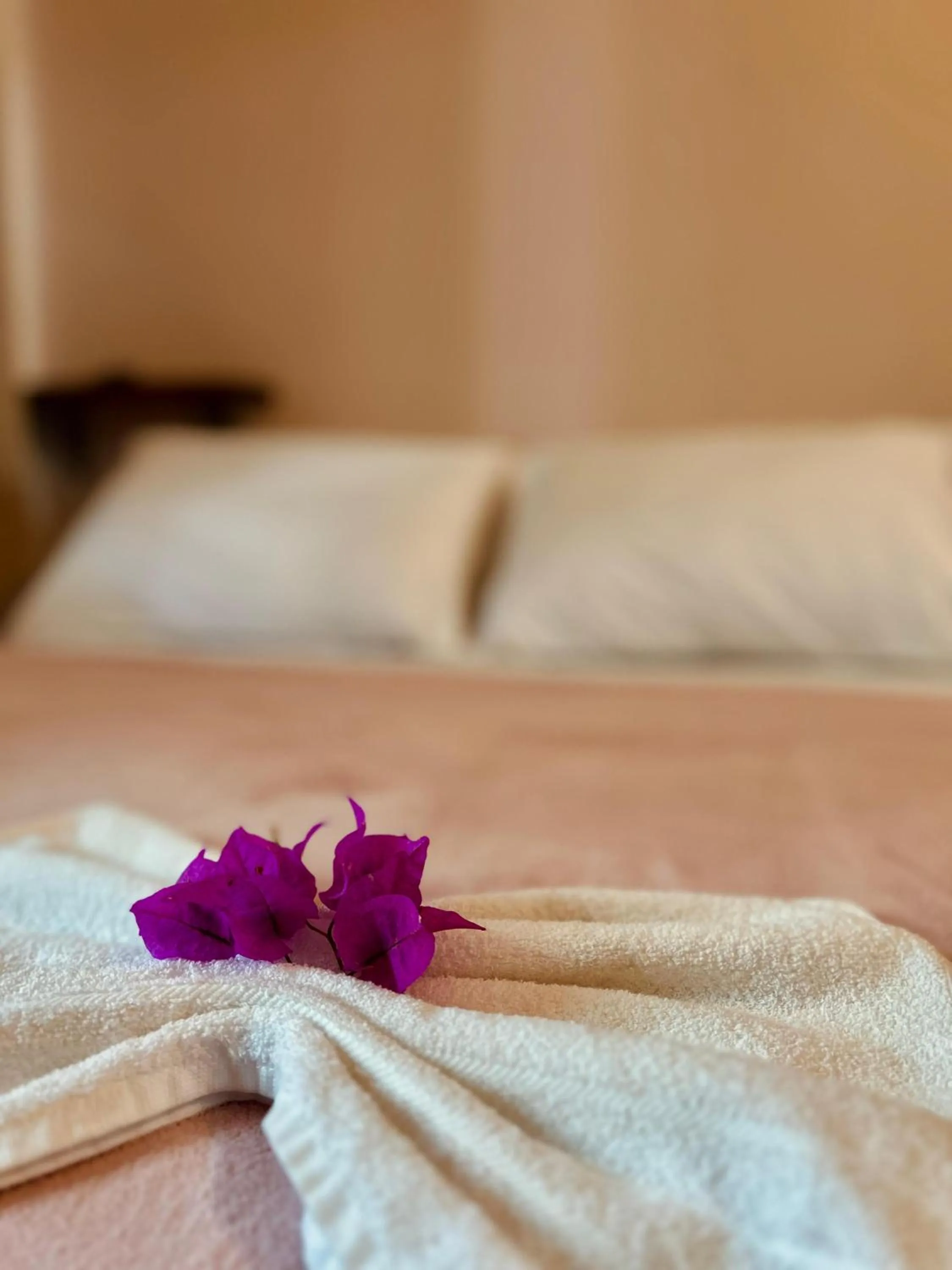 Bed in Bougainville Suítes