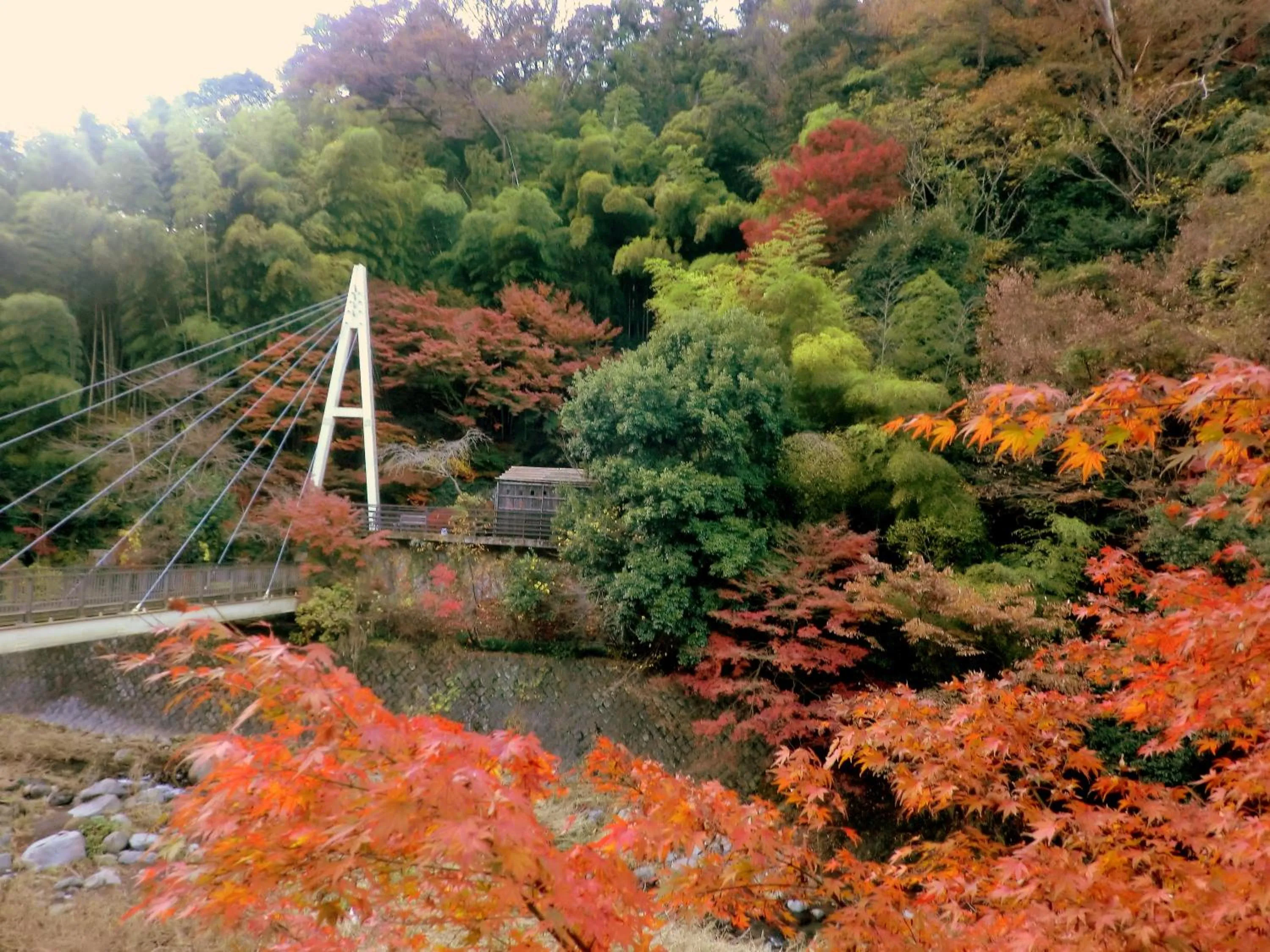 Natural landscape in Shiunso