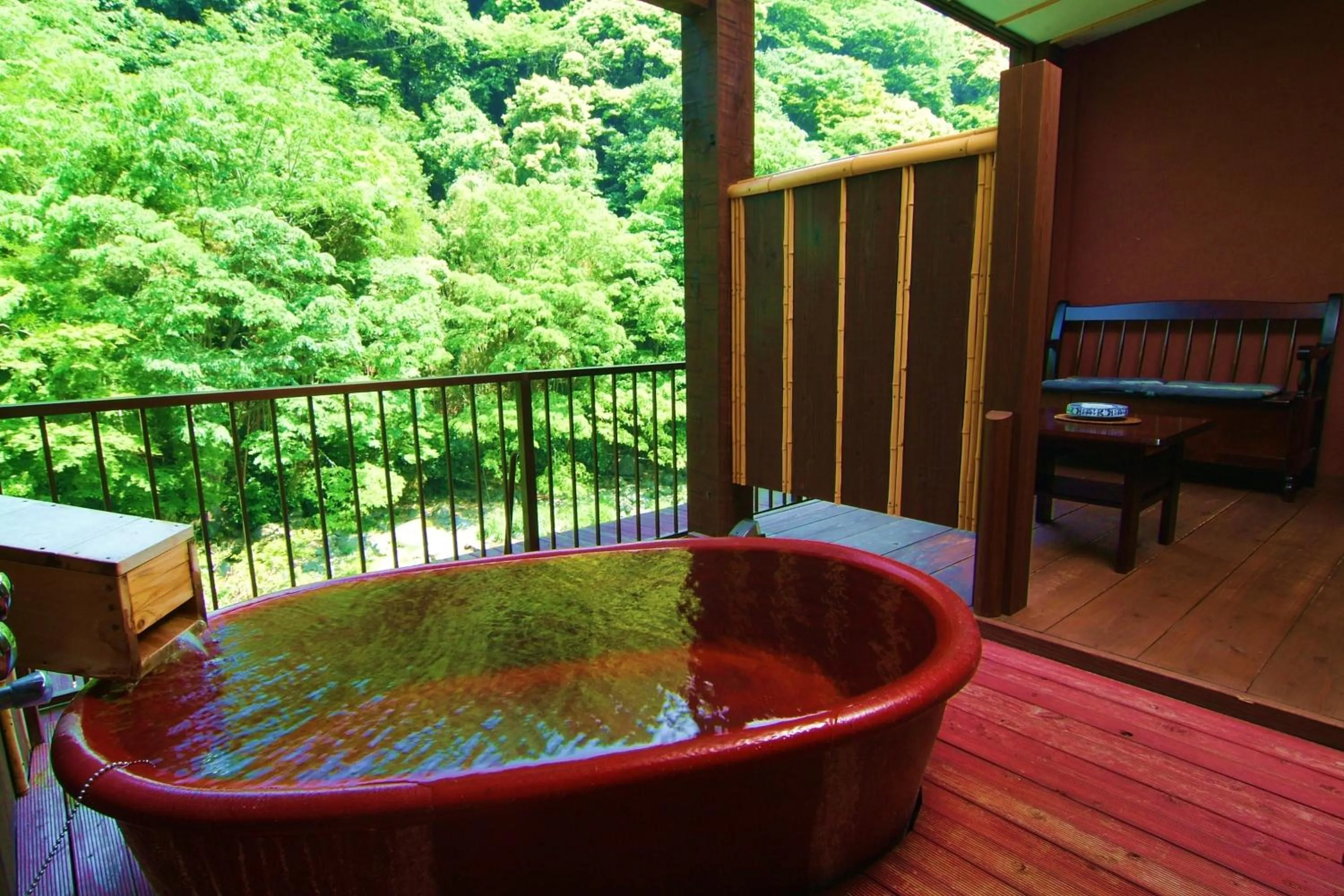 Hot Spring Bath in Shiunso