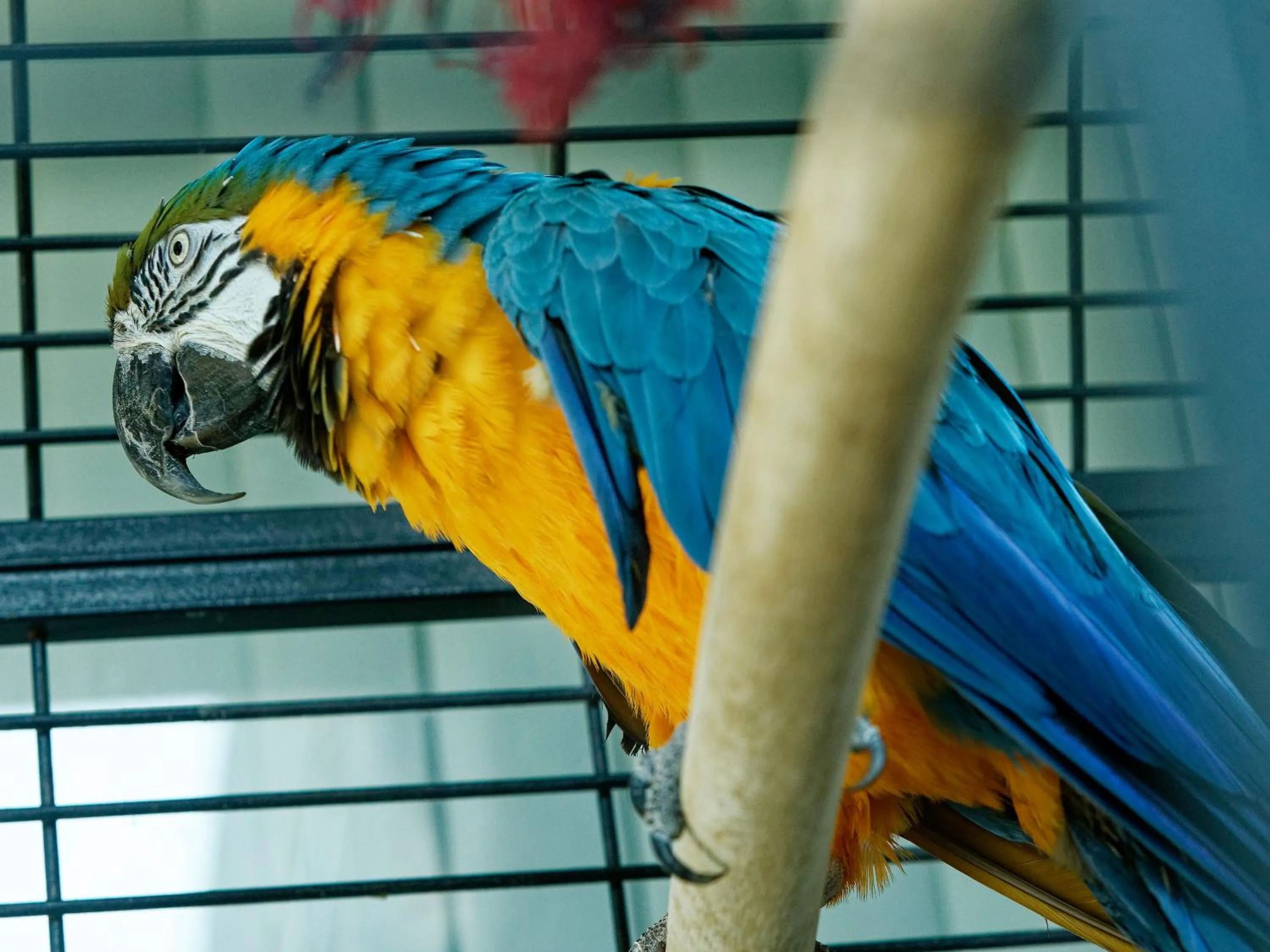 Lobby or reception in Detelina Hotel