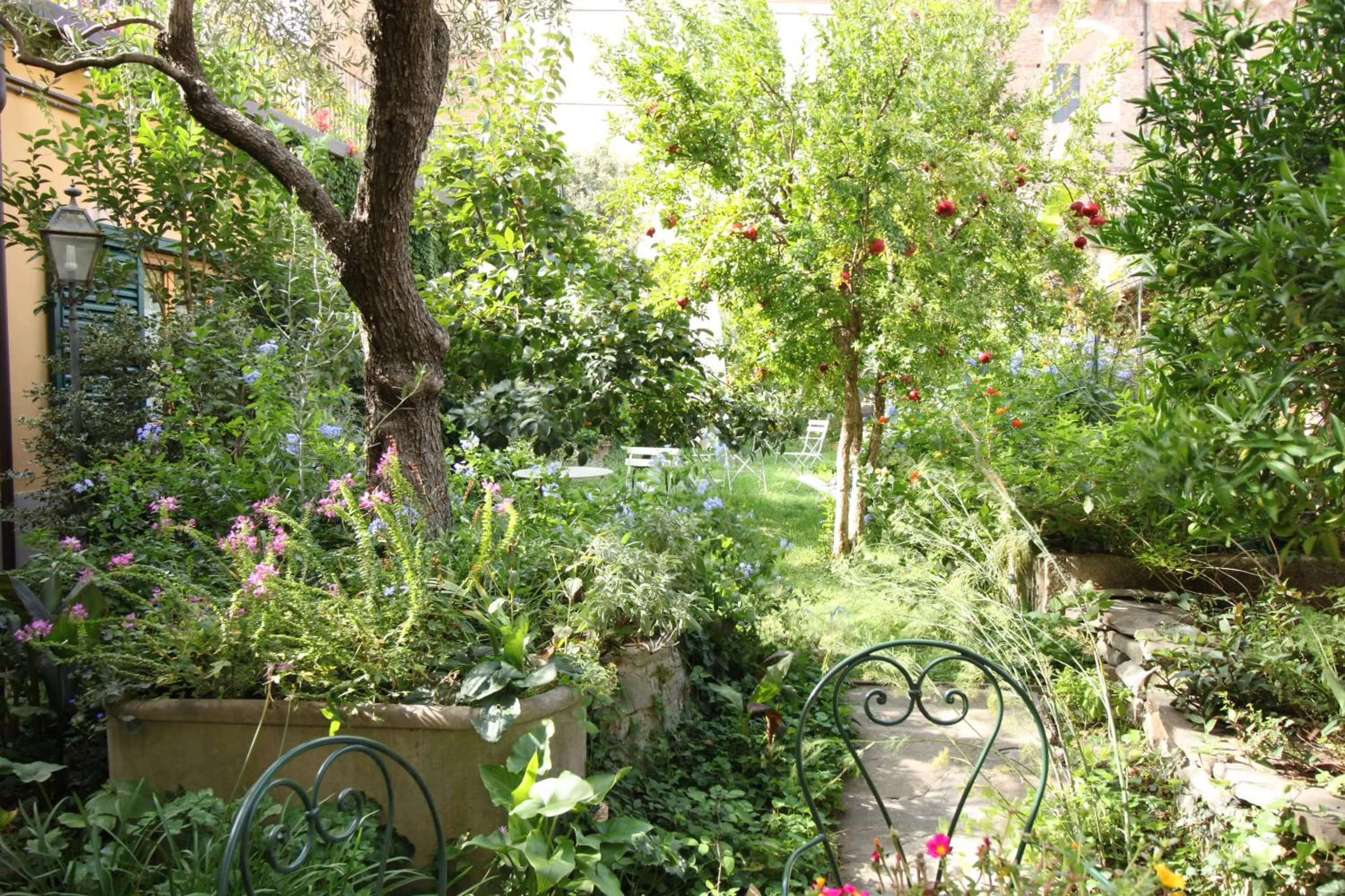 Garden in Domus Giorgio