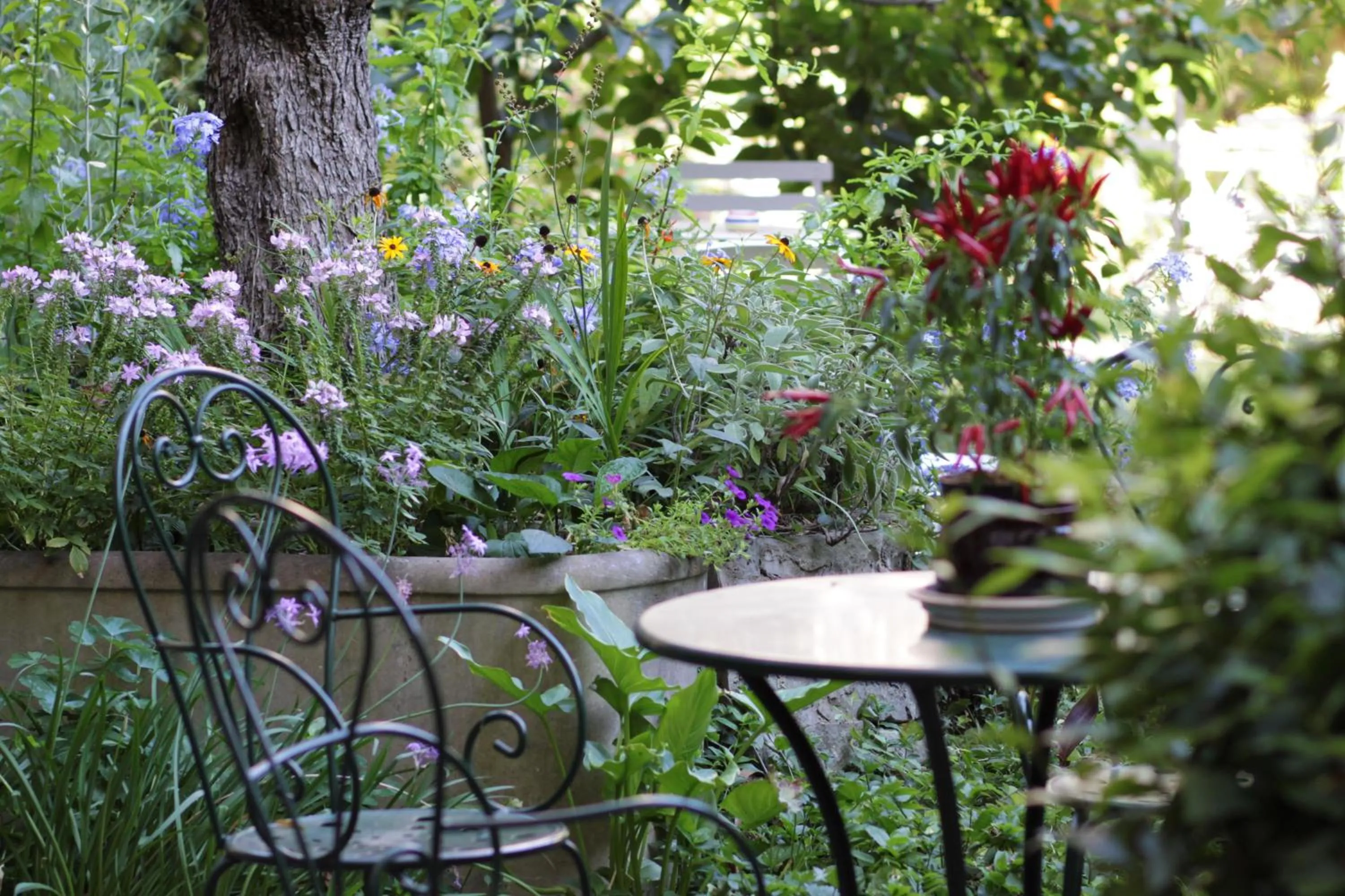 Garden in Domus Giorgio
