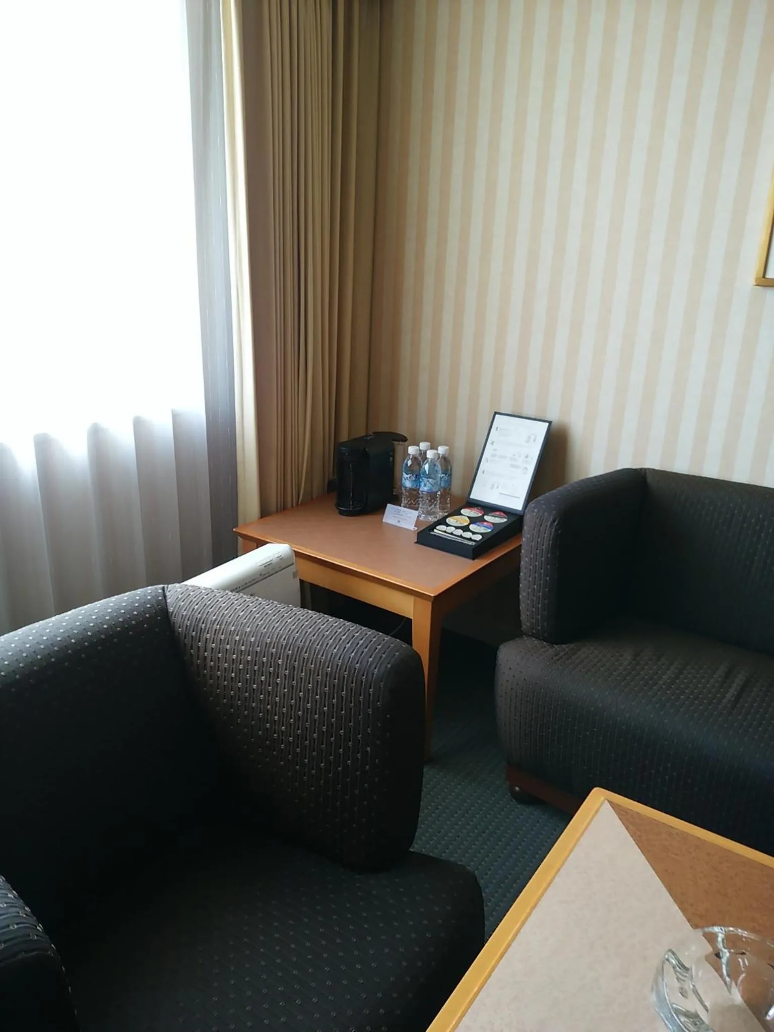 Photo of the whole room in Hotel Nikko Nara
