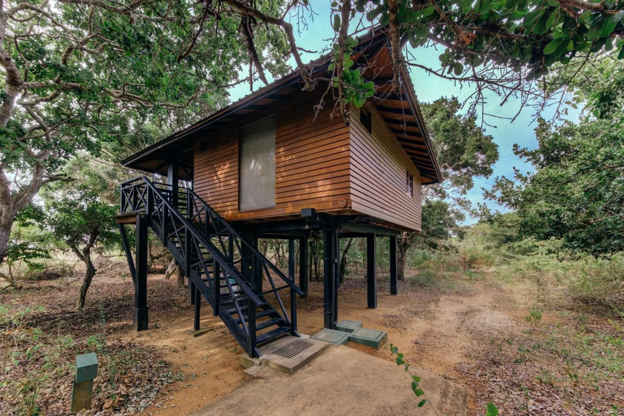 Decorative detail in Cinnamon Wild Yala