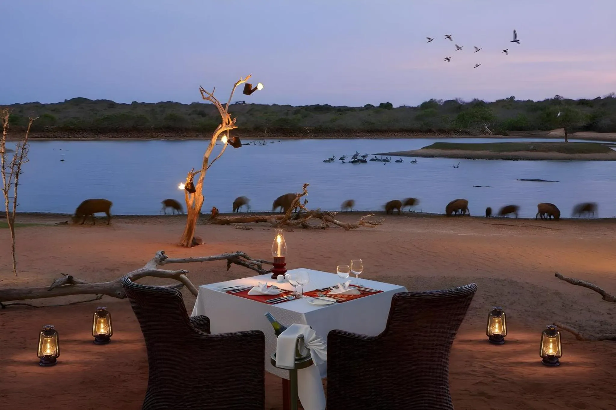 Other in Cinnamon Wild Yala