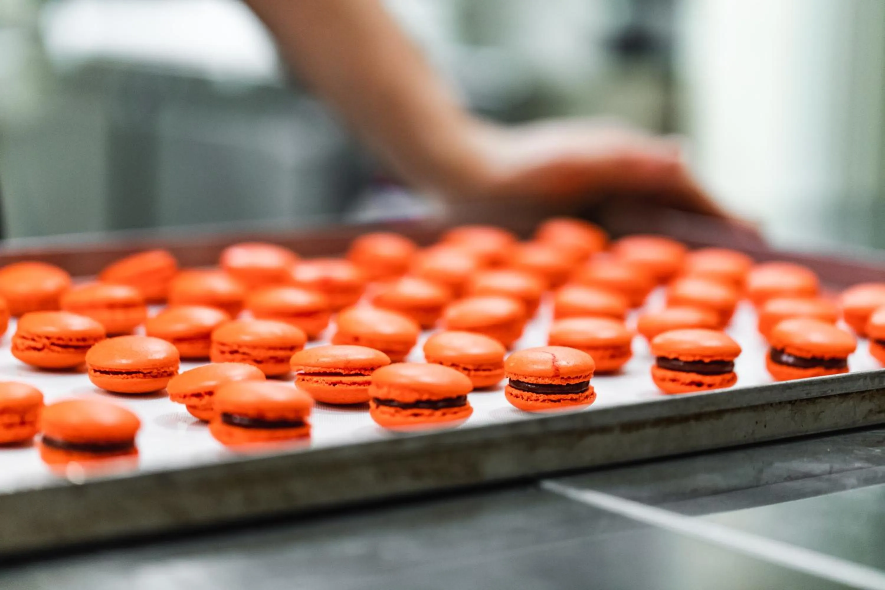 Food in SeeBay Hotel