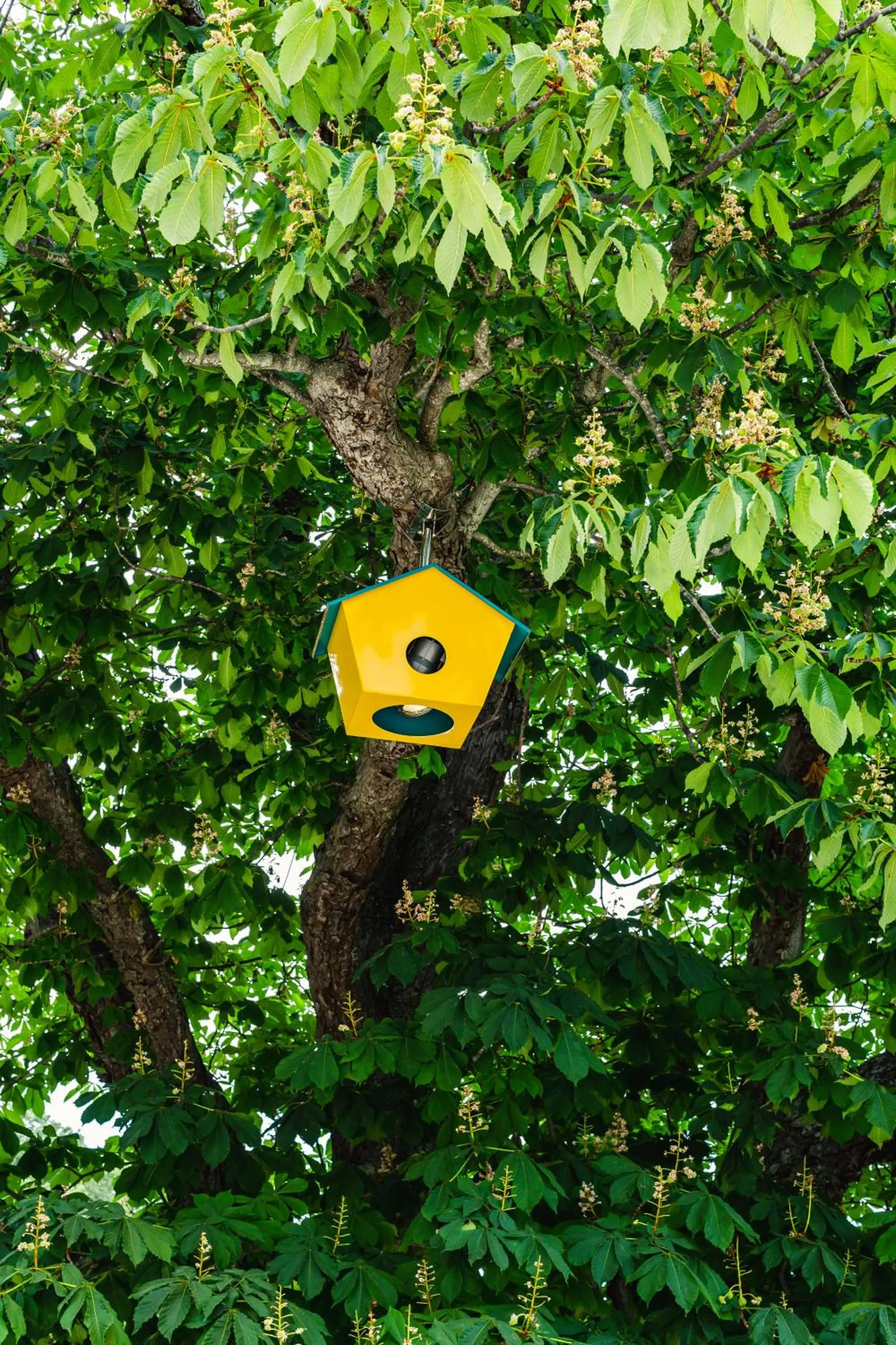 Natural landscape in SeeBay Hotel