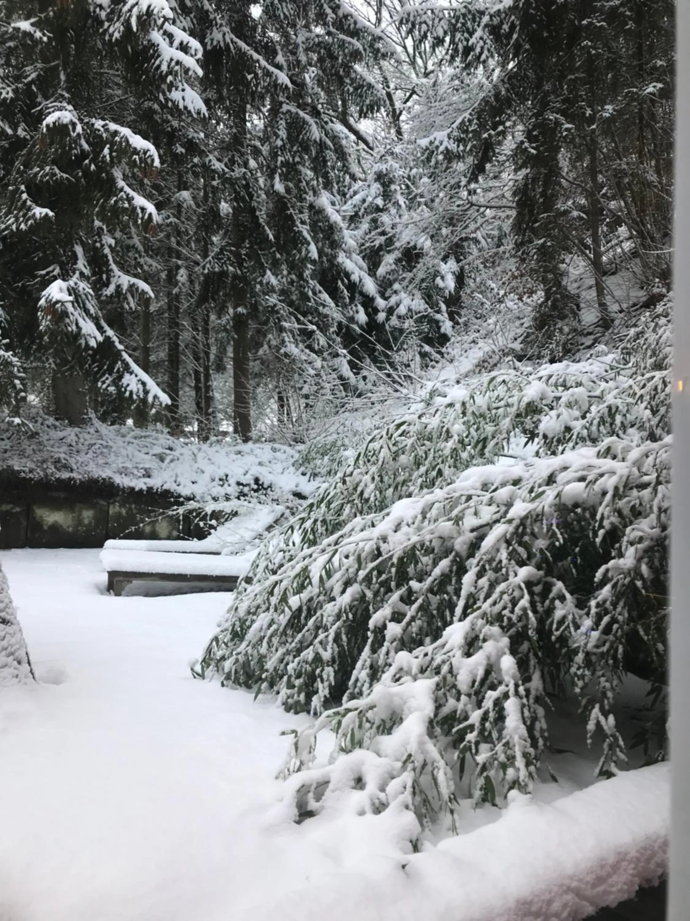Garden in Logis Hôtel DOMAINE du MOULIN