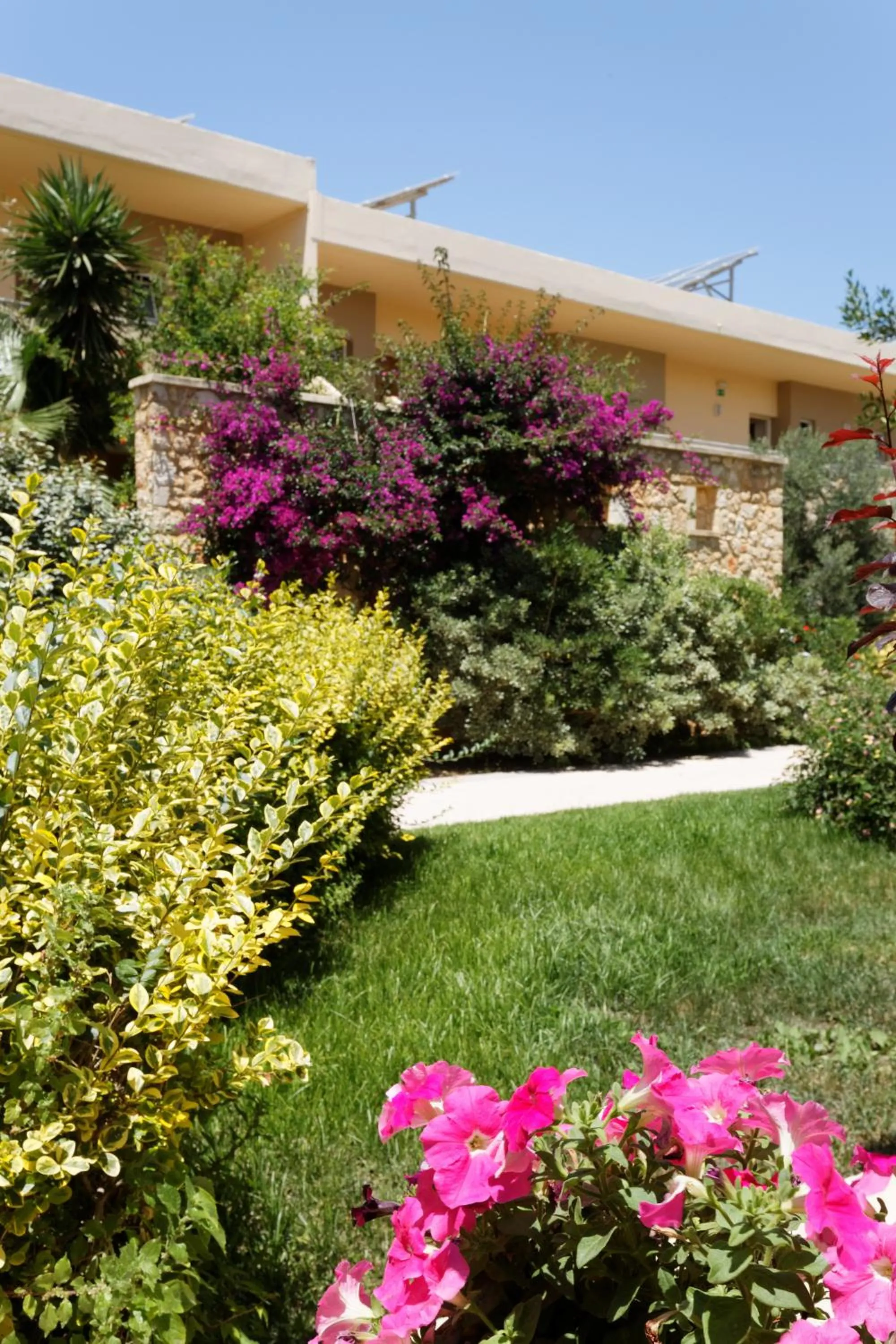 Garden in Indigo Mare