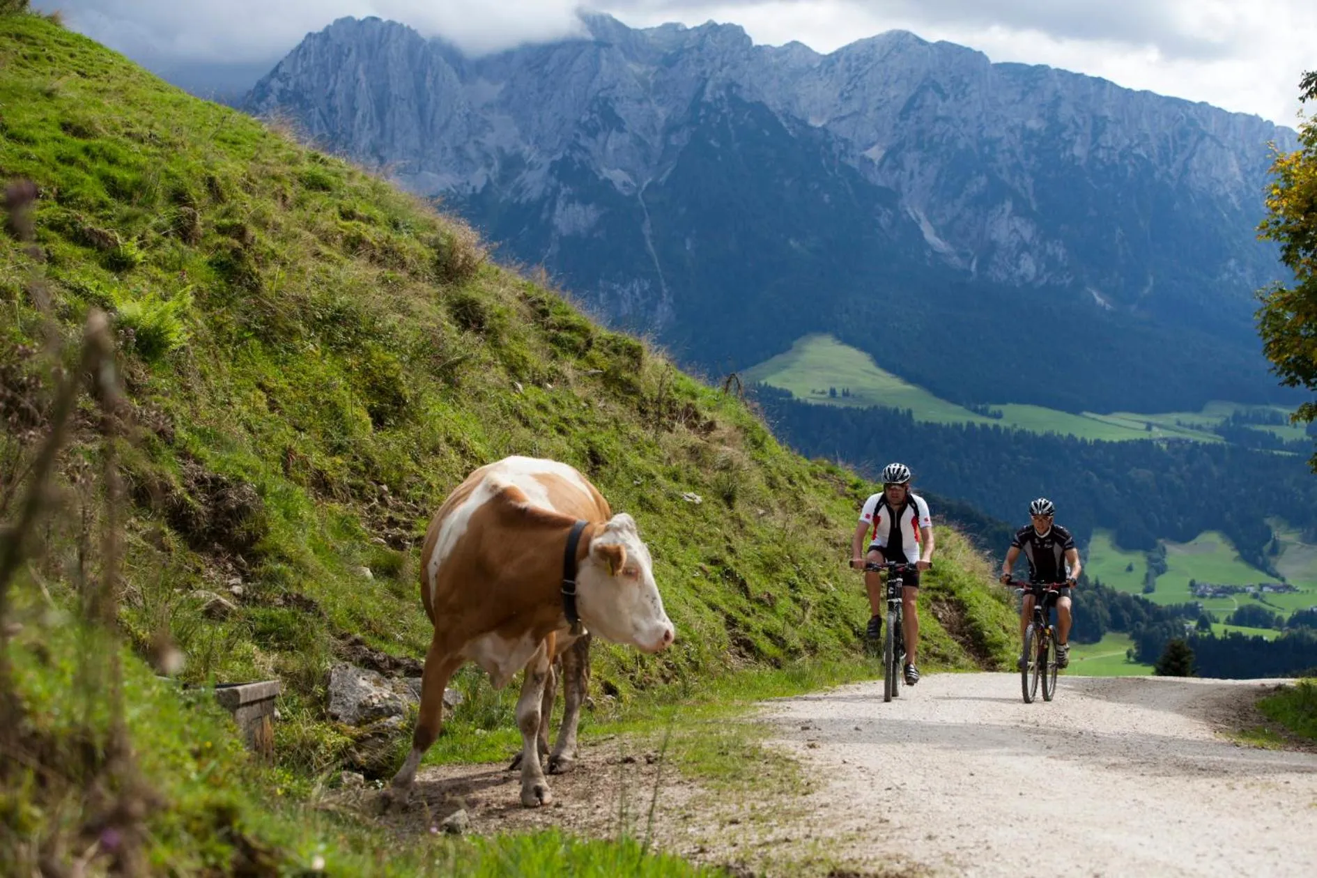 Natural landscape in Hotel Garni Tirol