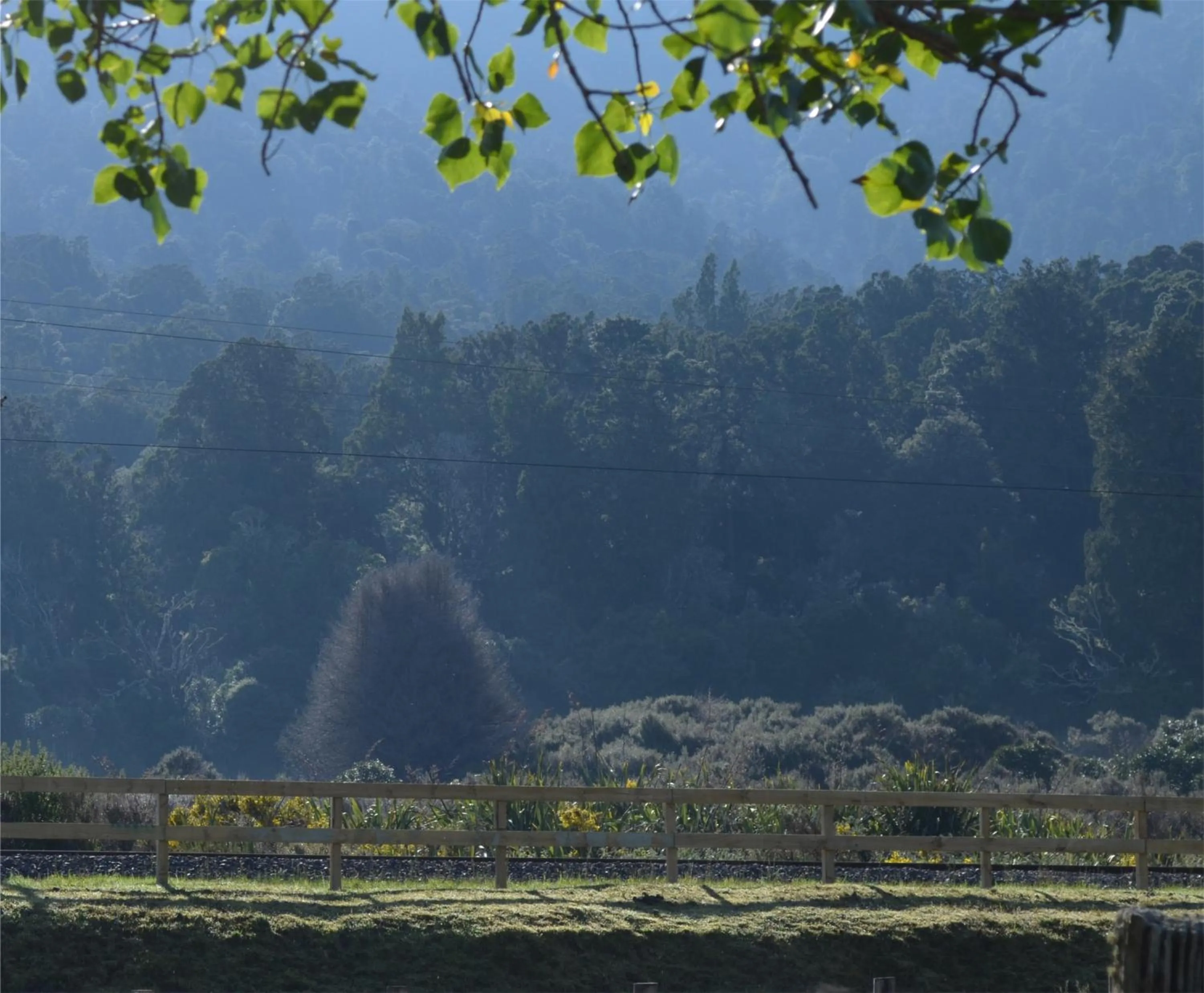 Natural landscape in Tongariro Boutique B&B