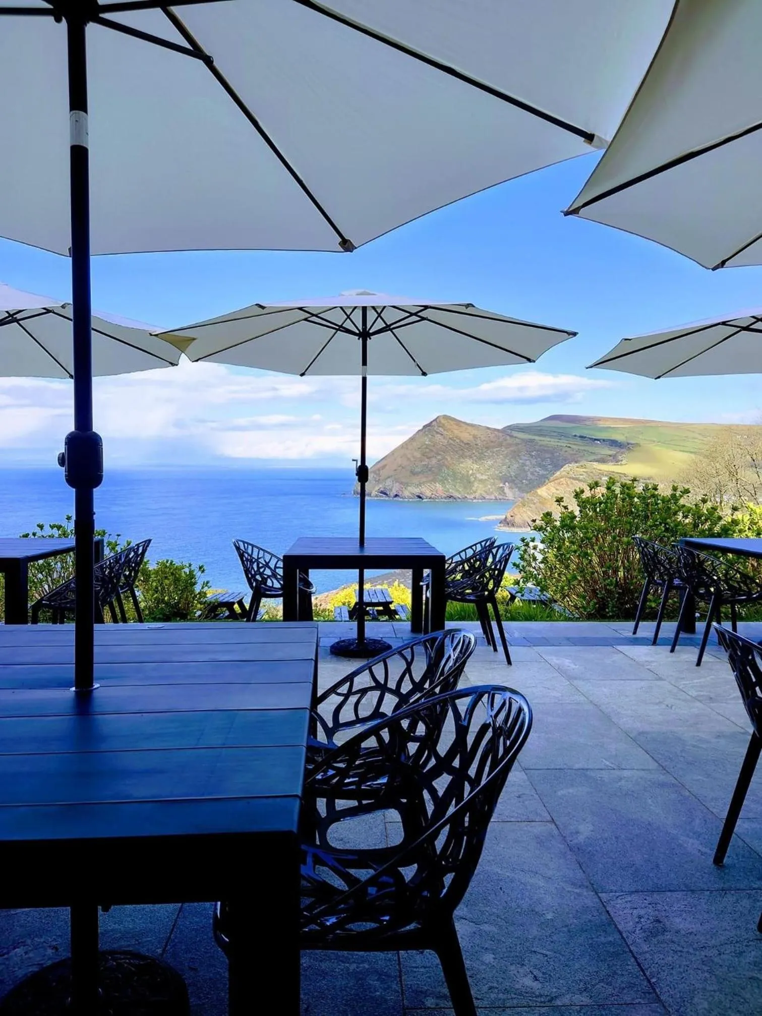 Garden in Sandy Cove Hotel