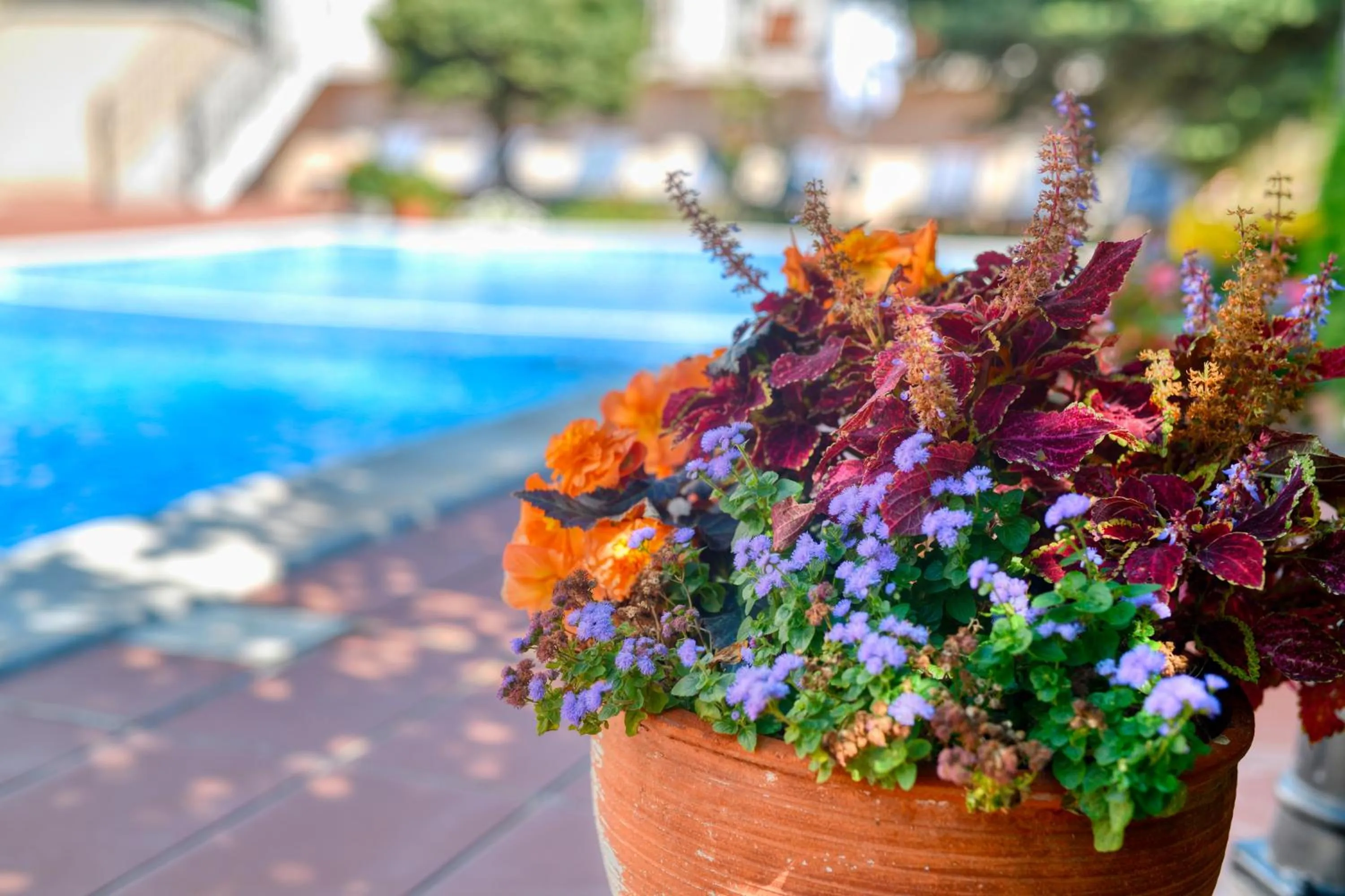 Alekta Hotel - Free Parking