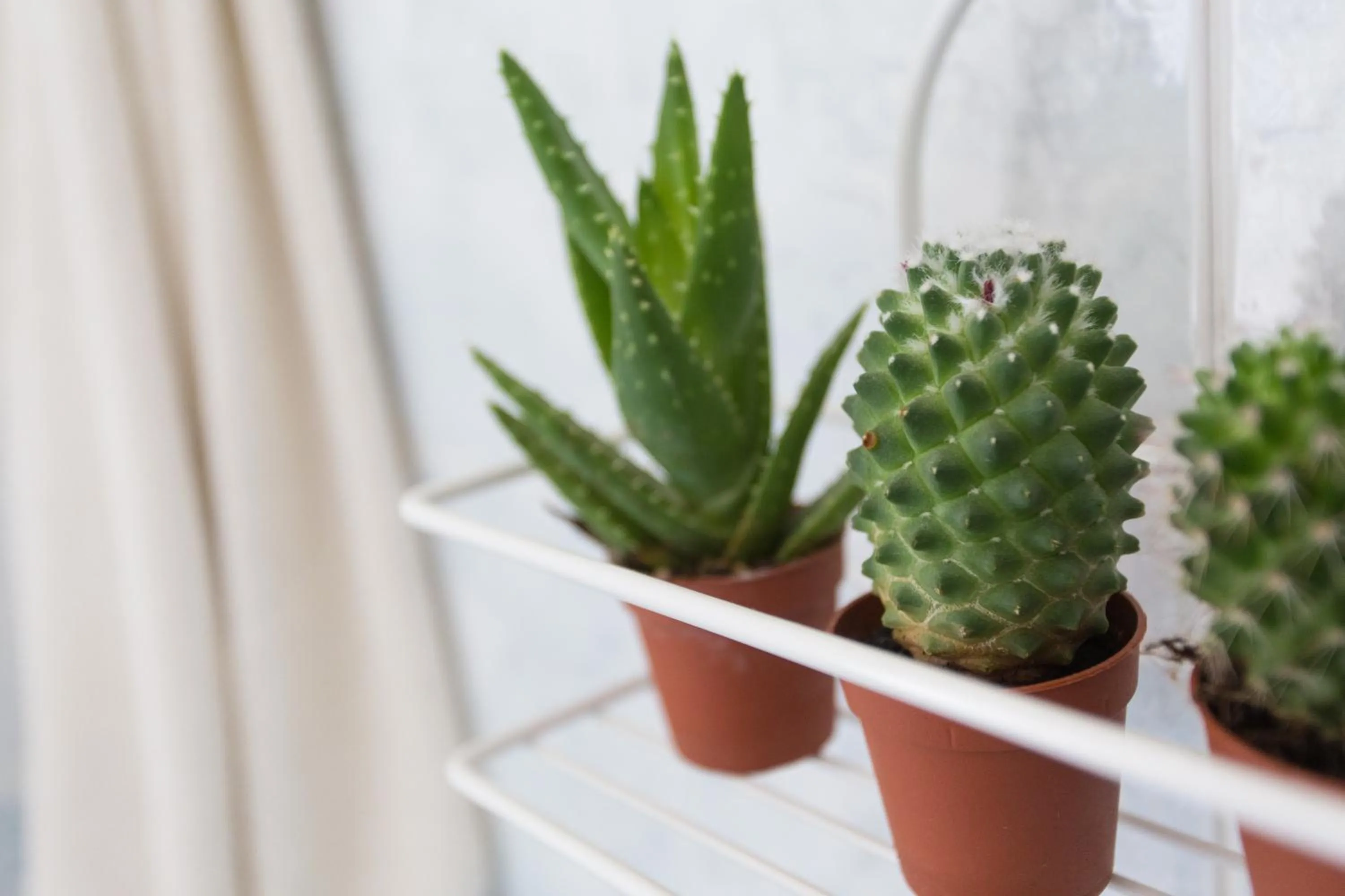 Other in Hotel Gianlore