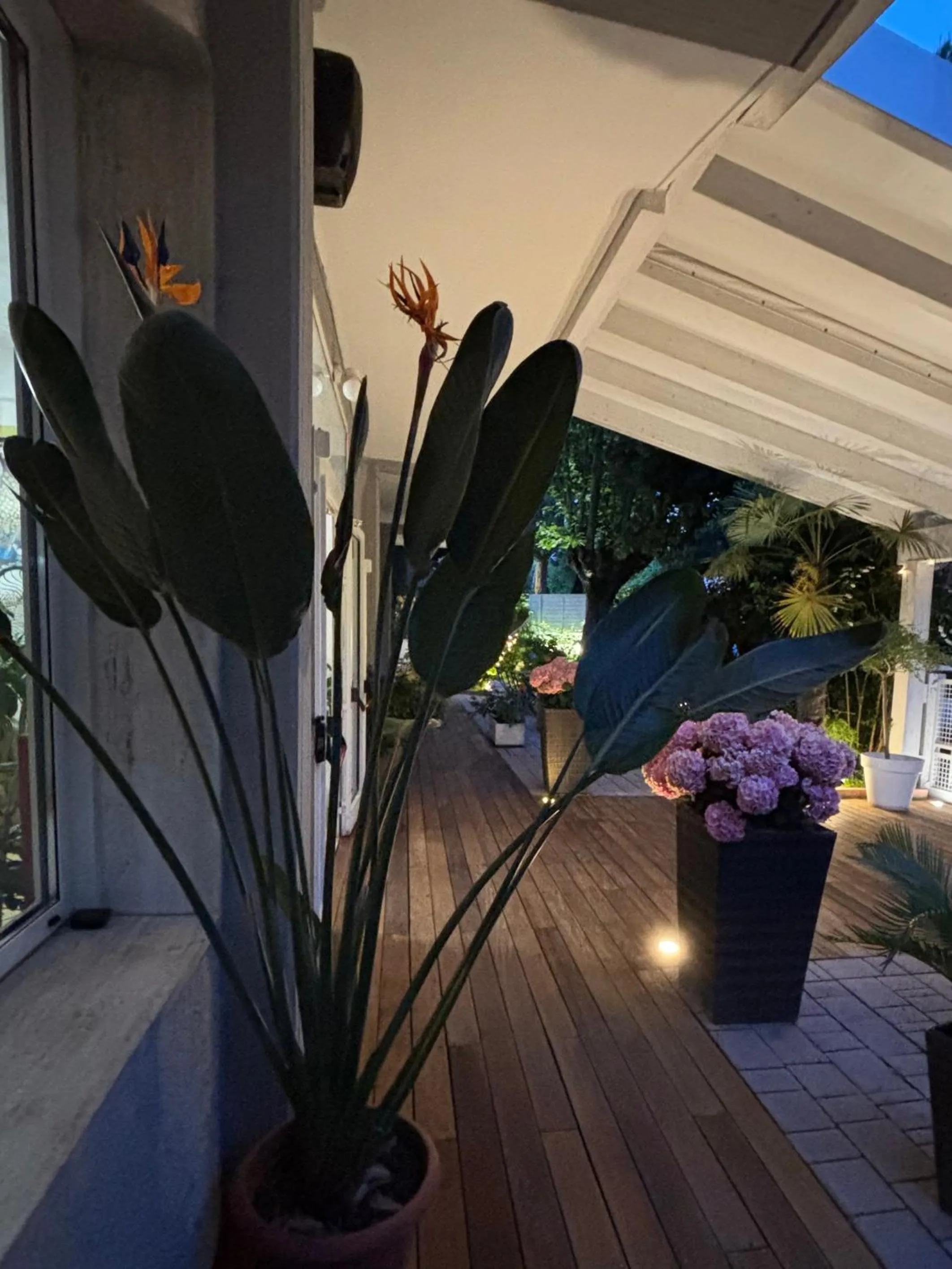 Night in Hotel Gianlore