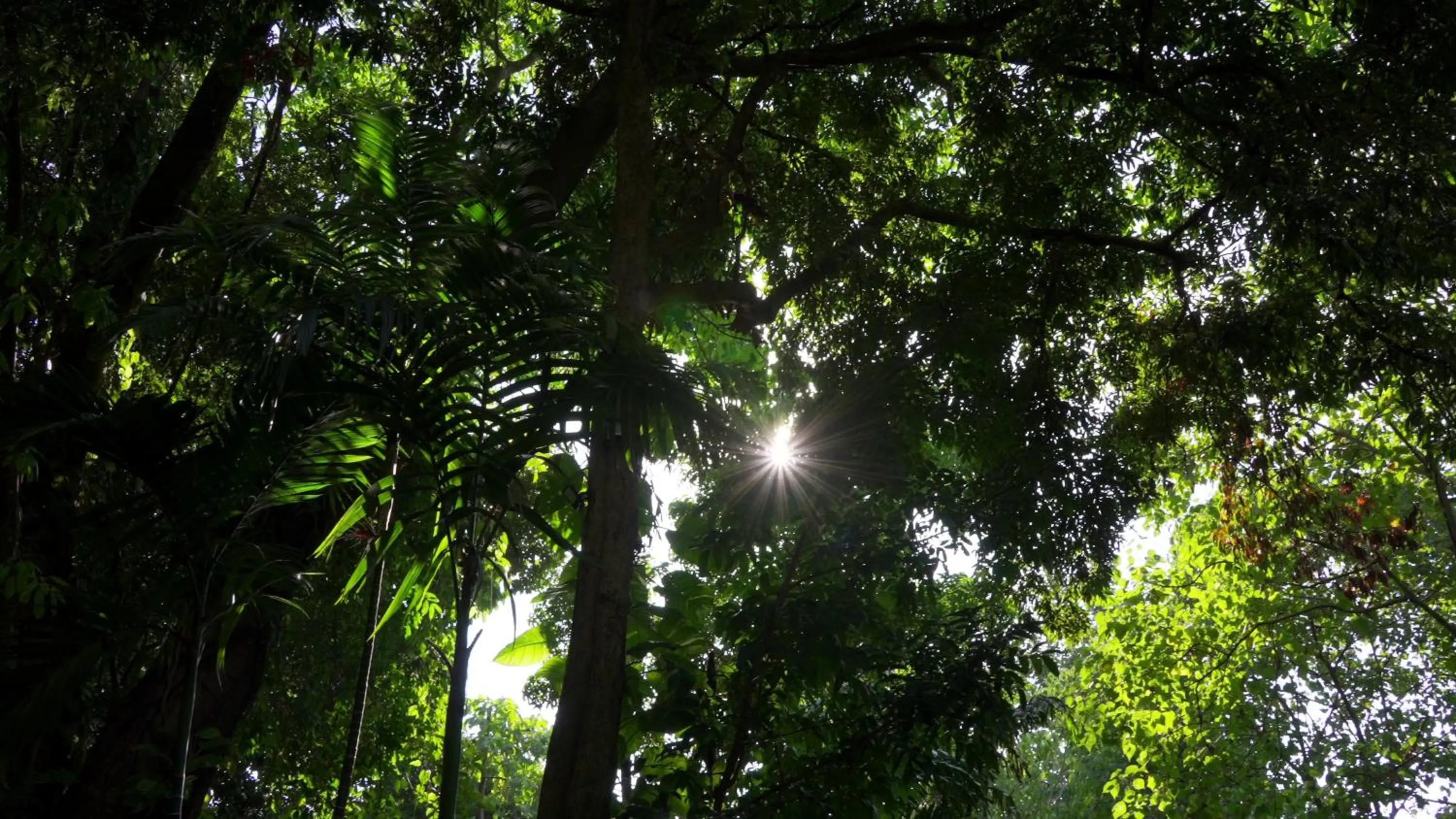 Natural landscape in Ambong Pool Villas - Private Pool