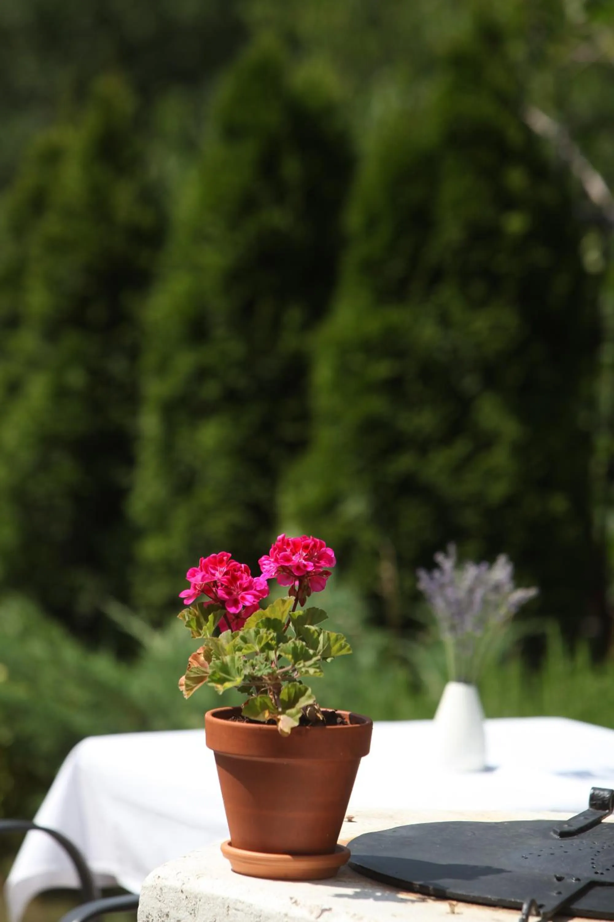 Decorative detail in Guest House Stancija Kovacici