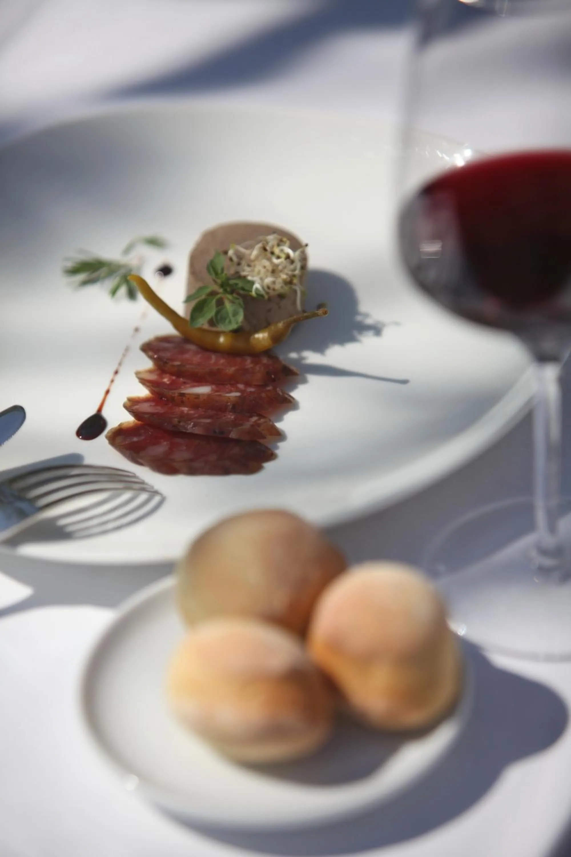 Food and drinks in Guest House Stancija Kovacici