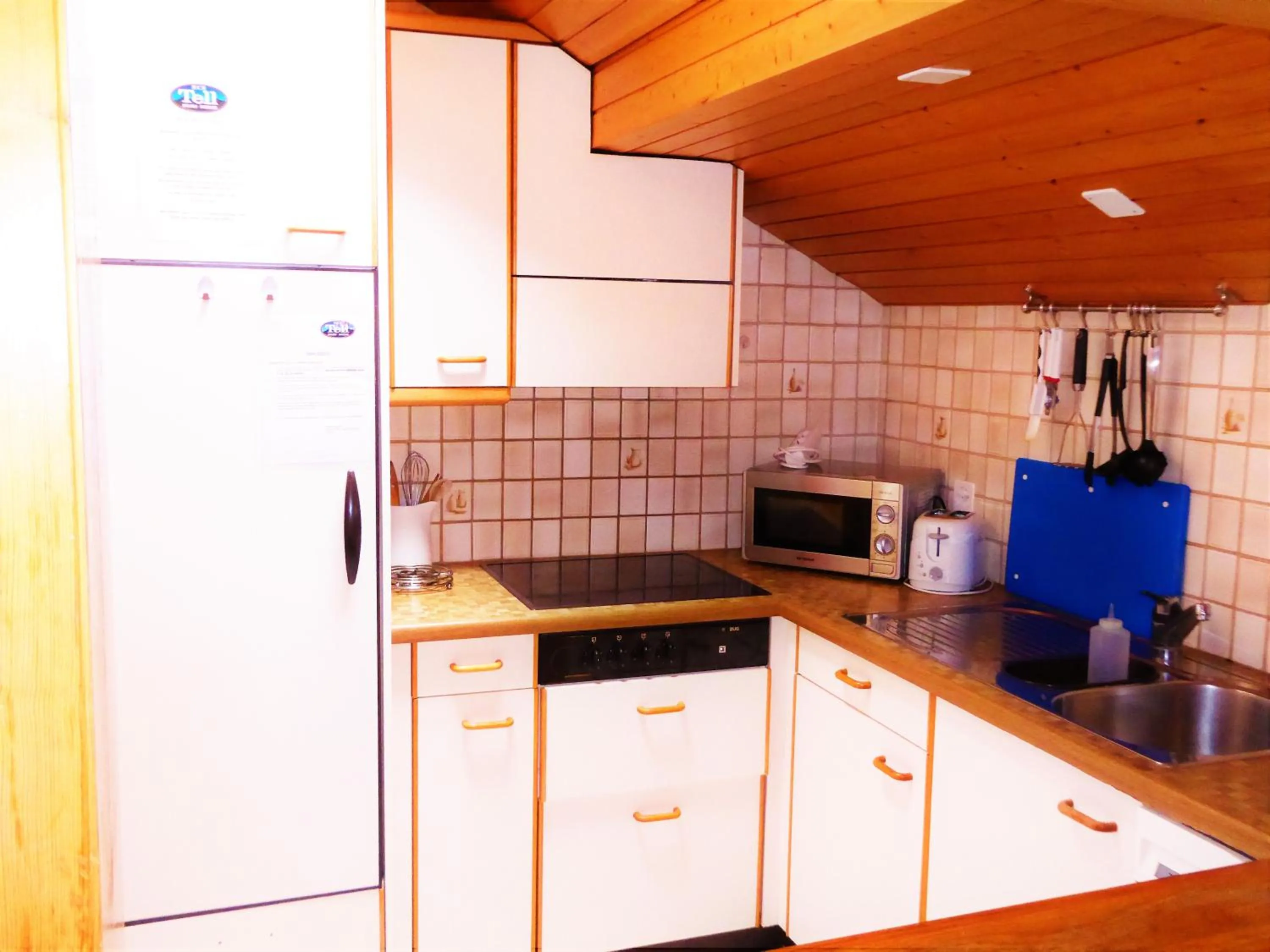 Kitchen or kitchenette in Hotel Tell and Apartments