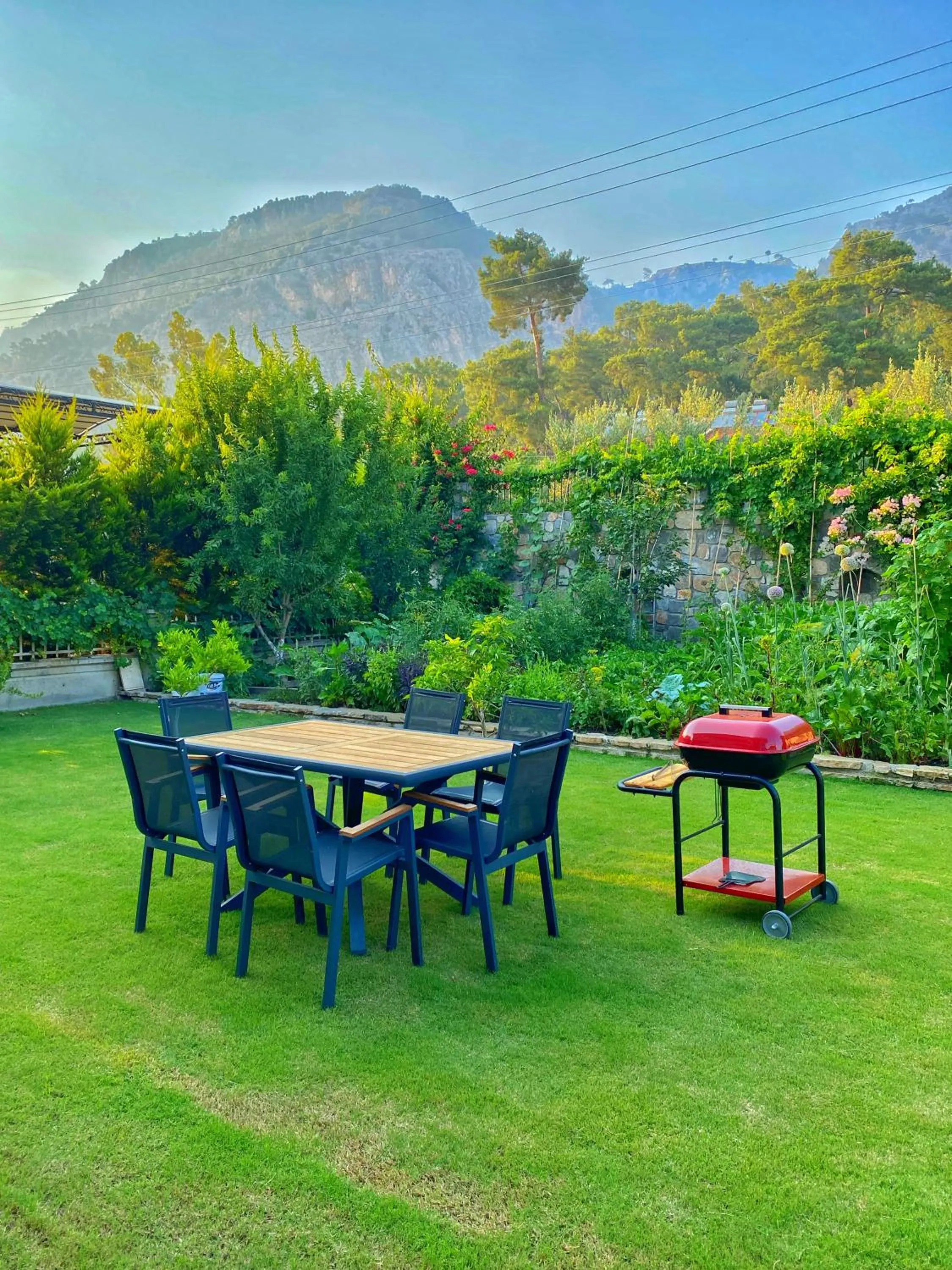 BBQ facilities in Gocek Arion Hotel