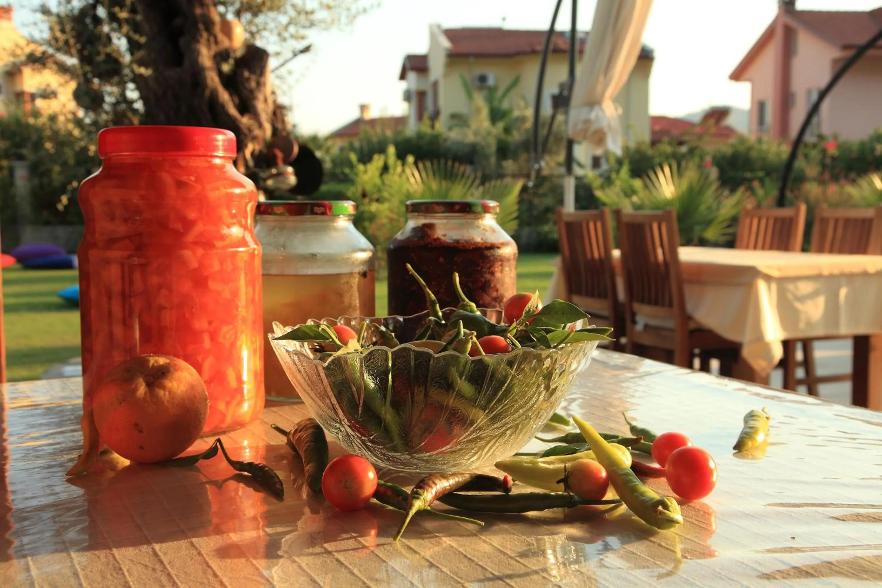 Garden in Gocek Arion Hotel