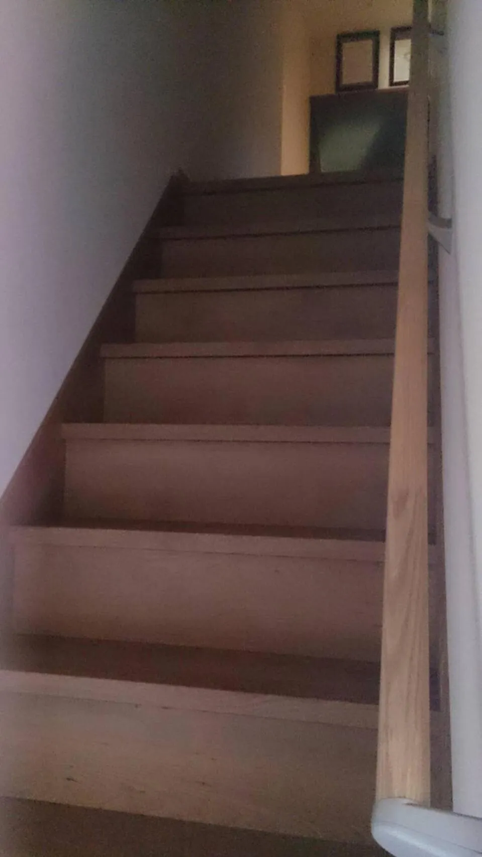 Lobby or reception in Guesthouse Kumano