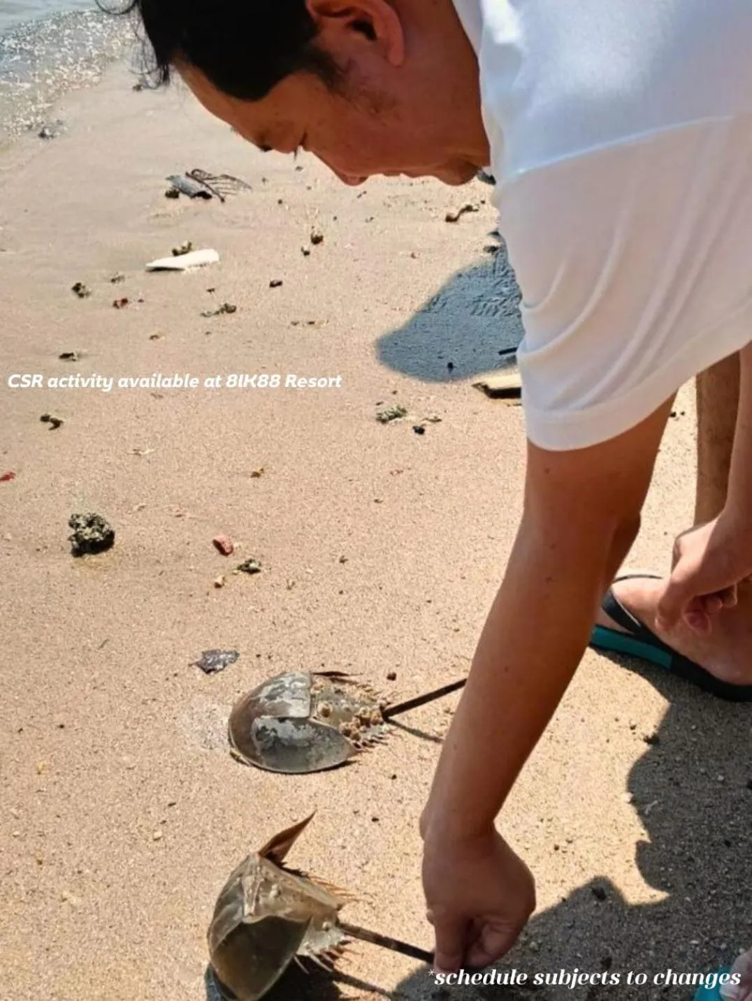 Activities in 8IK88 Resort, Phuket - SHA Extra Plus