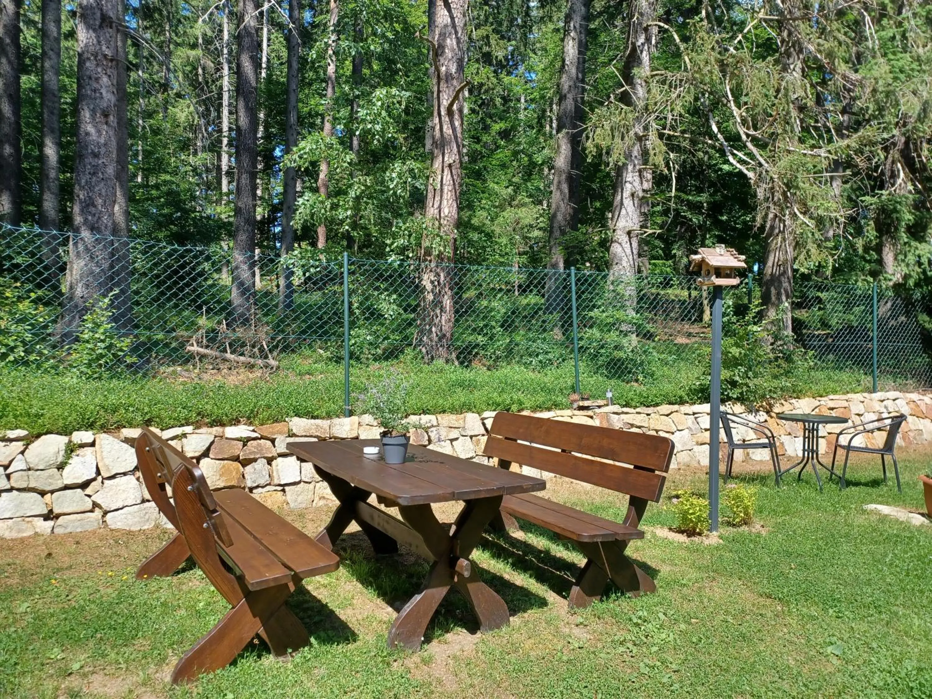 Garden view in Villa Obis