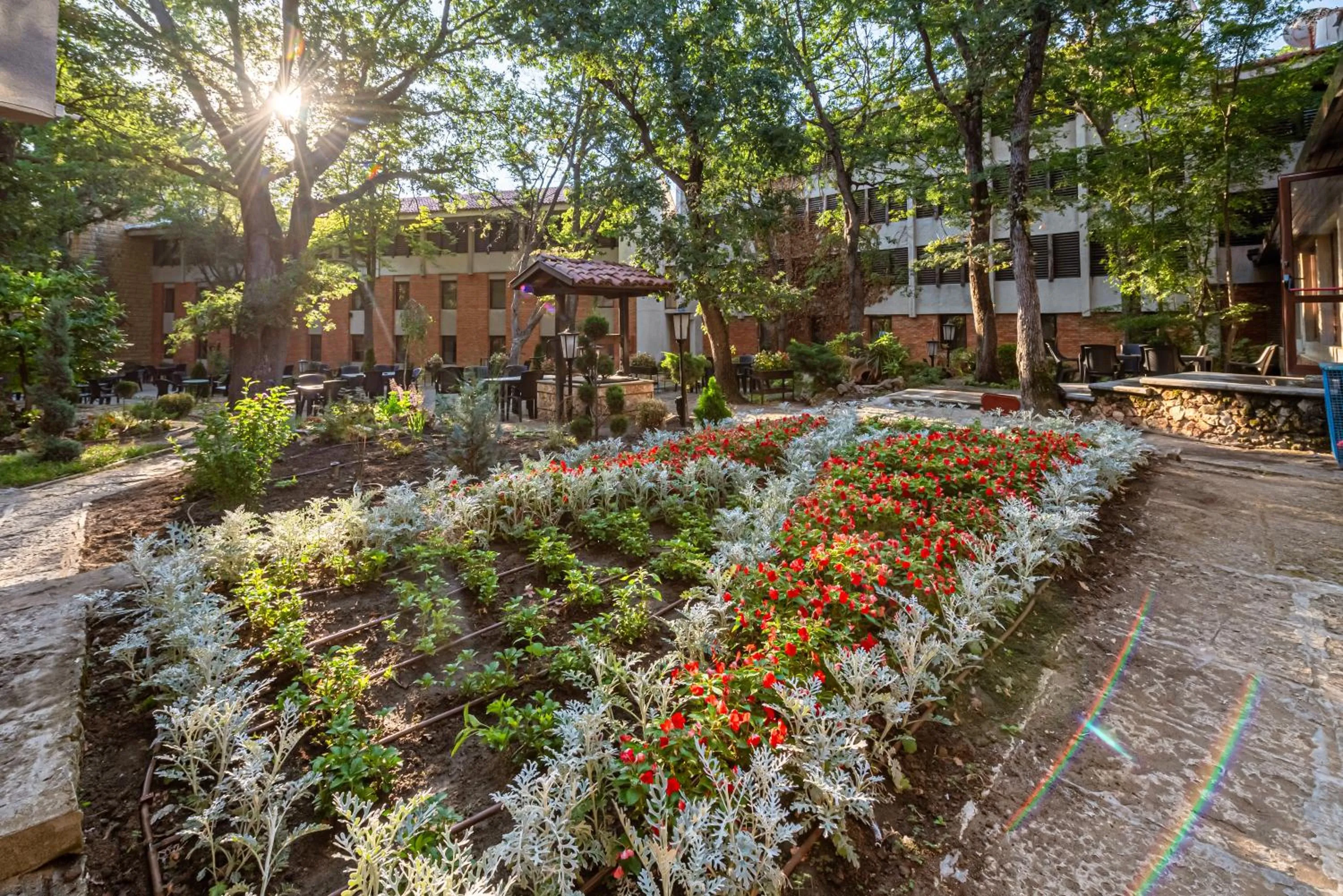 Garden in Hotel PRESLAV