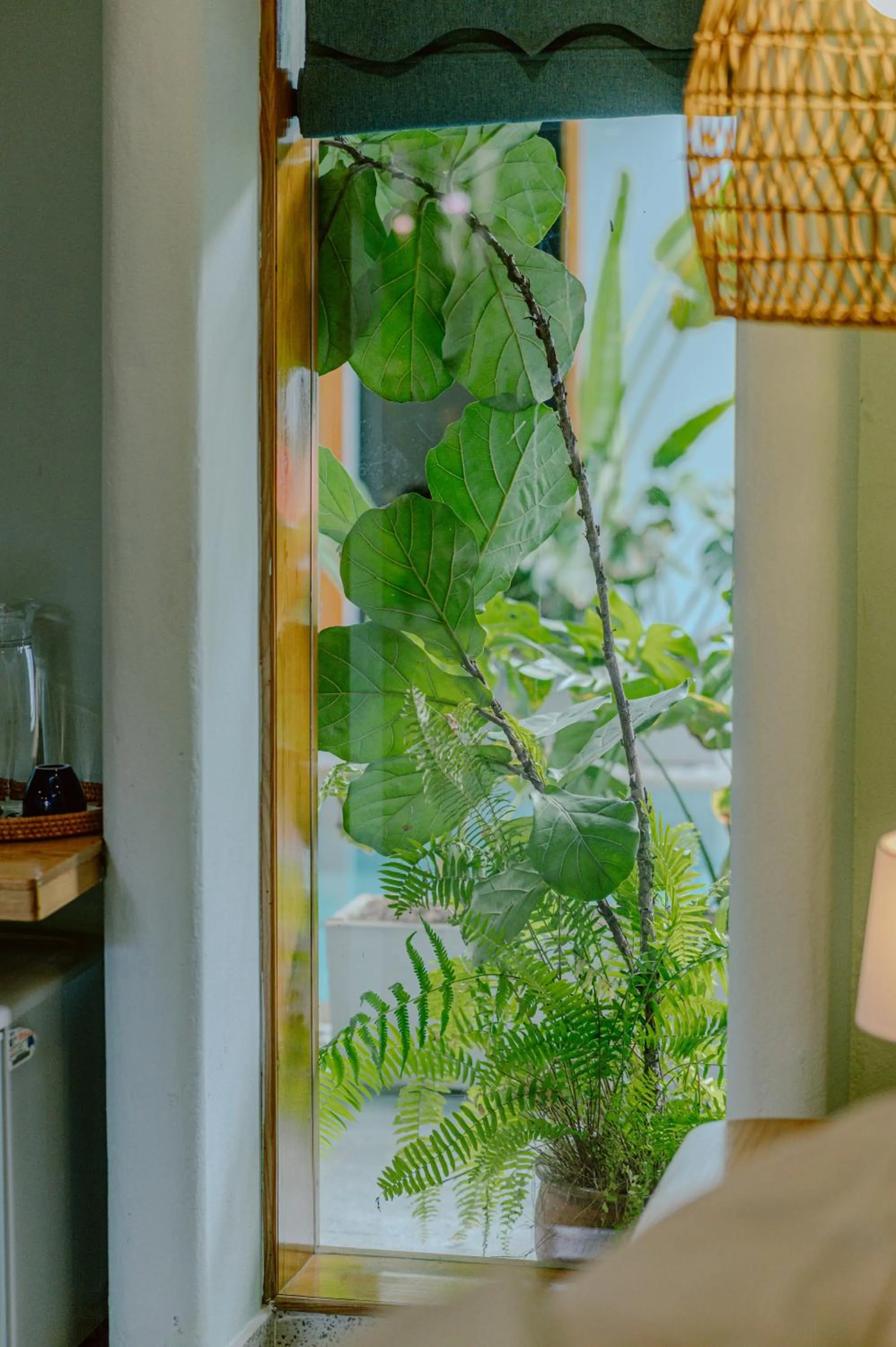 Natural landscape in Villa De Campagne Hoi An- Boutique homestay with pool and family soul