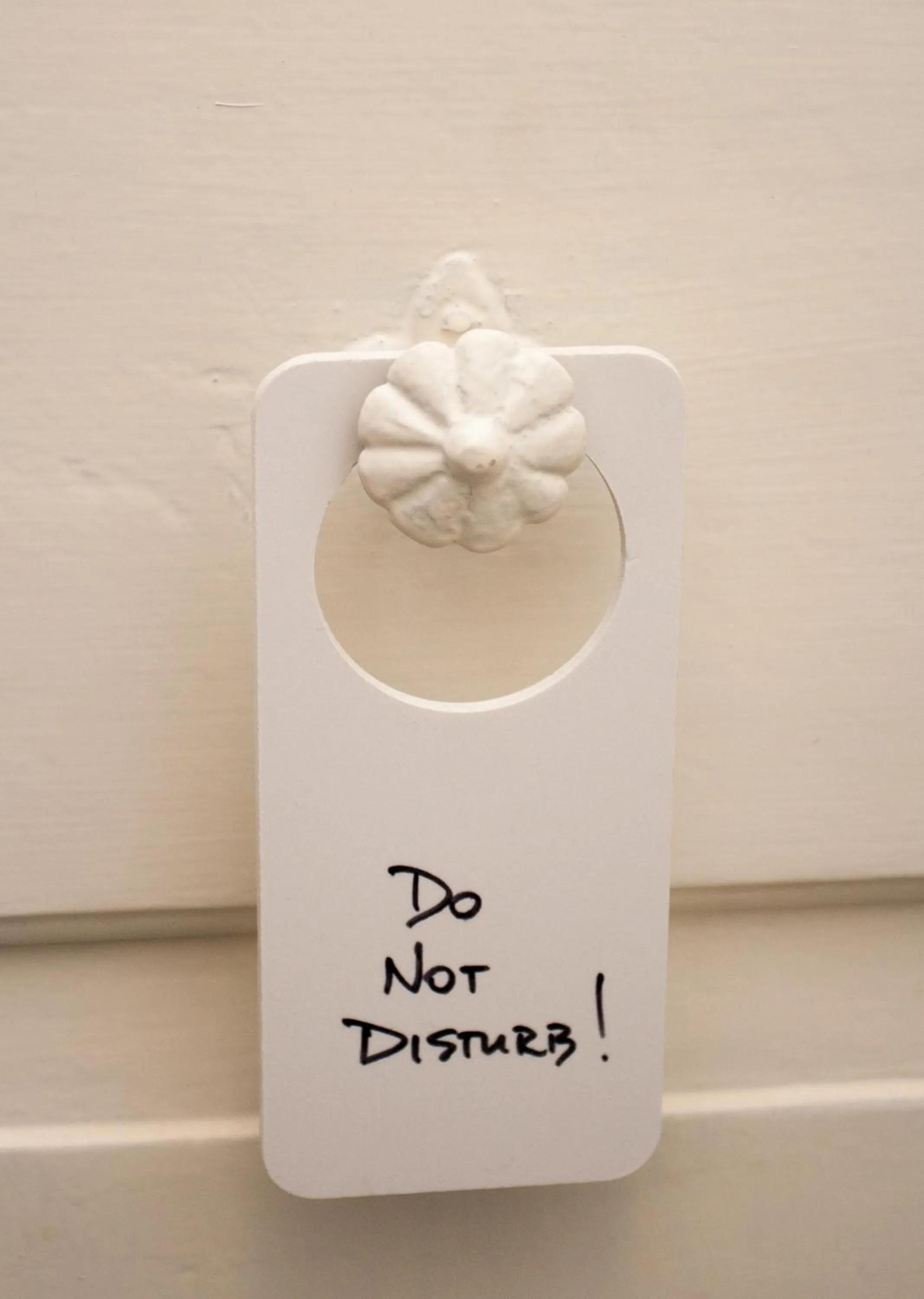 Area and facilities in Houses of Motovun