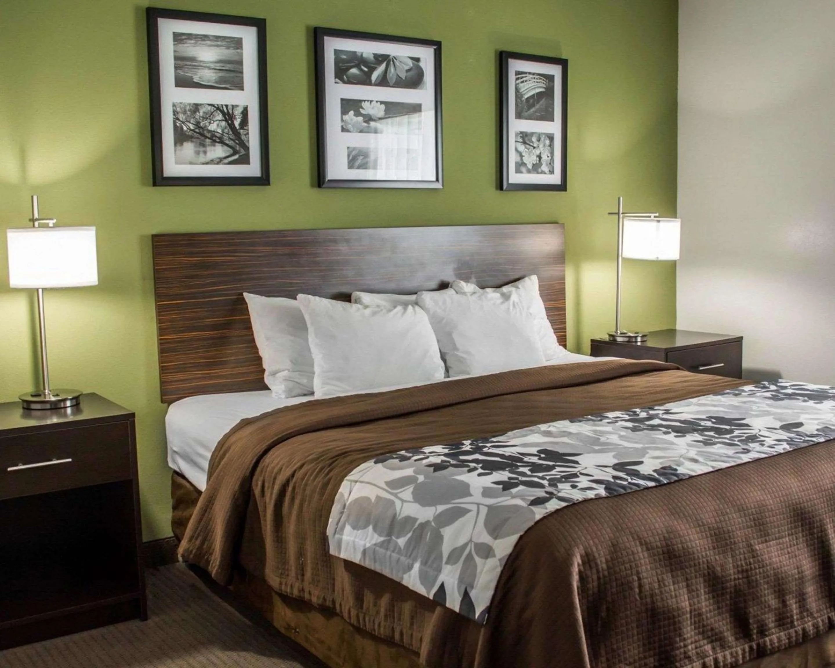 Bedroom, Bed in Sleep Inn Historic