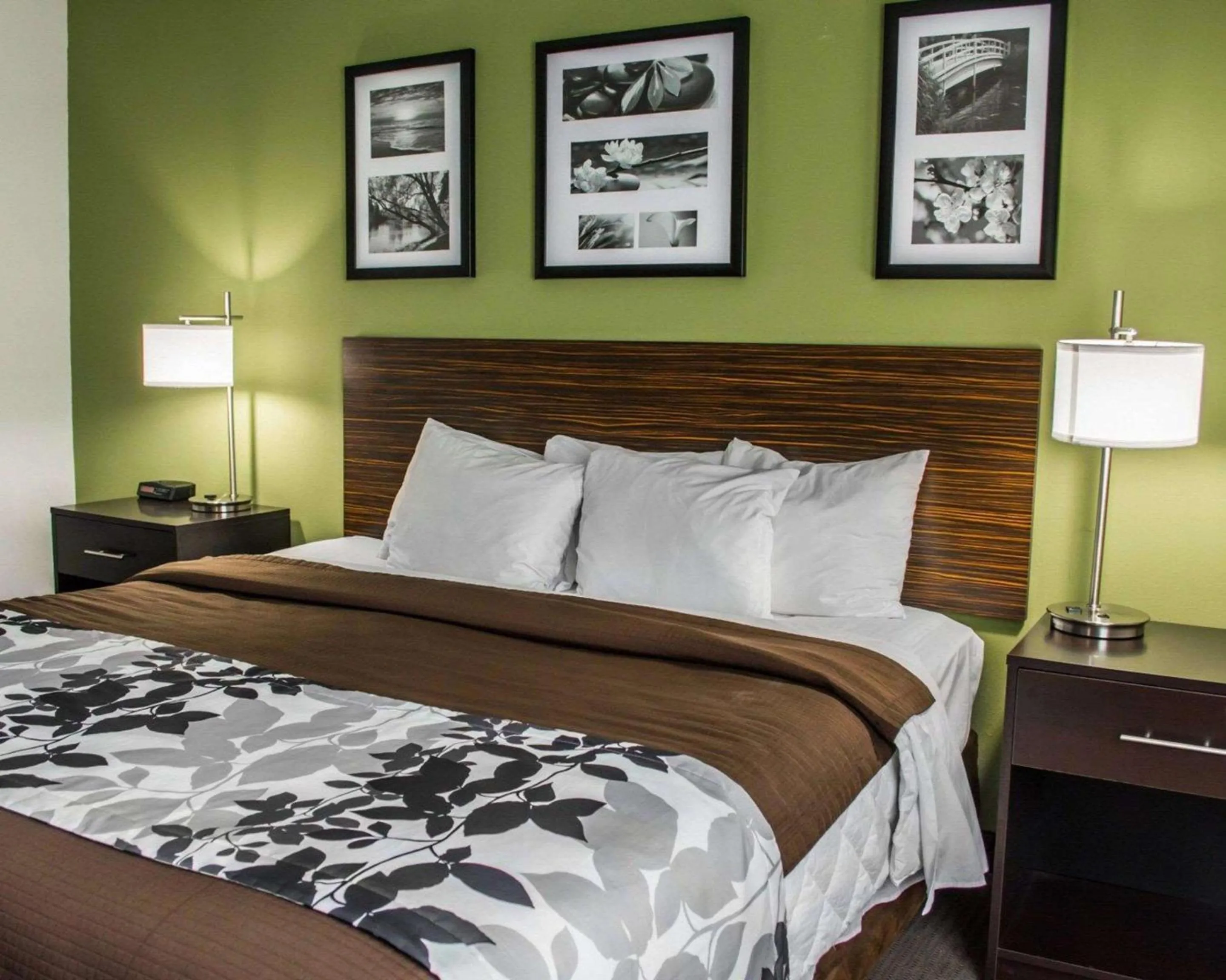 Bedroom, Bed in Sleep Inn Historic