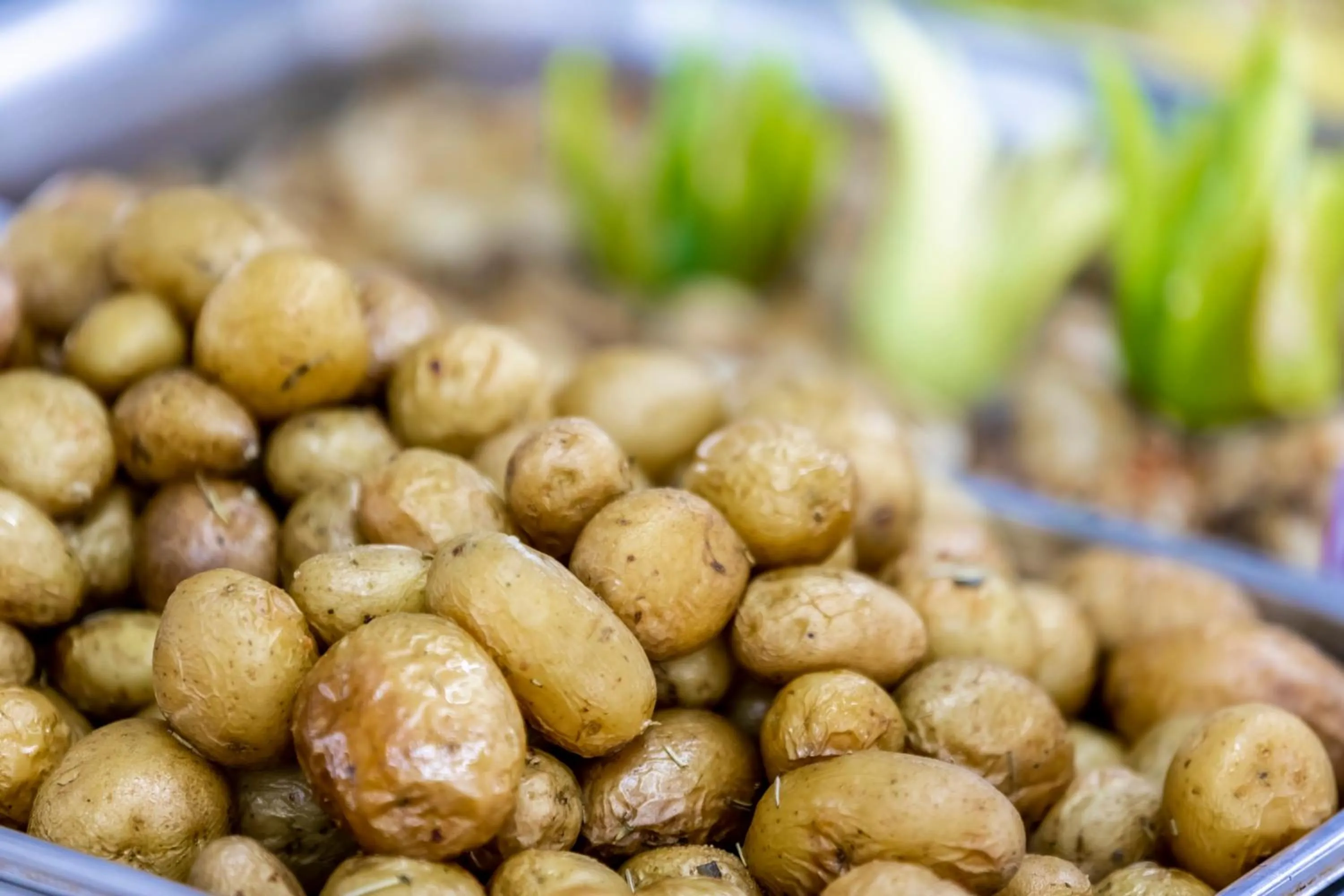 Food and drinks in Prestige Hotel and Aquapark - All inclusive